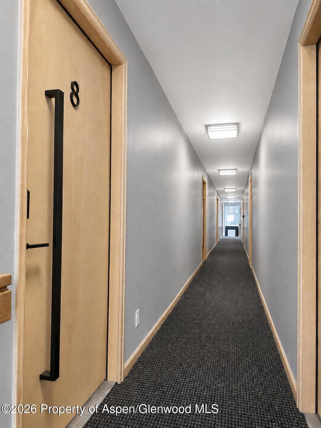 1024 E Cooper Avenue 8, Aspen, CO 81611 - Photo 2