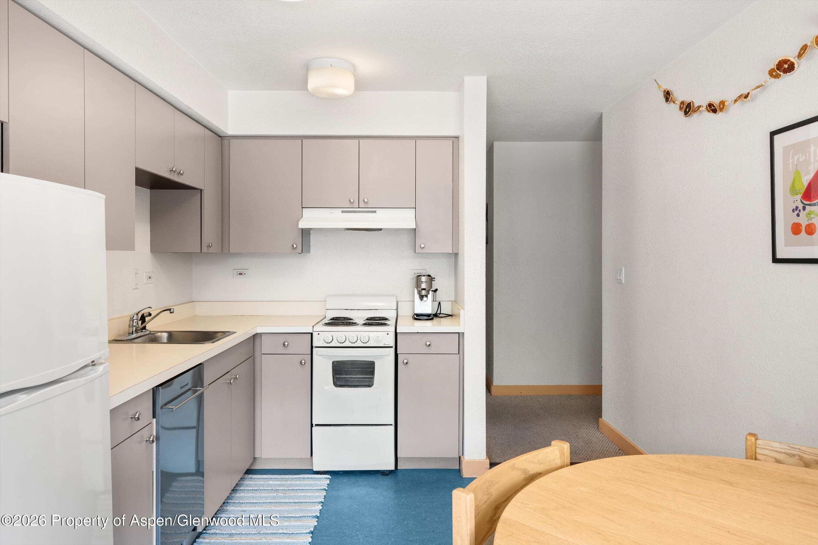 115 Boomerang Road 5309, Aspen, CO 81611 - Photo 9