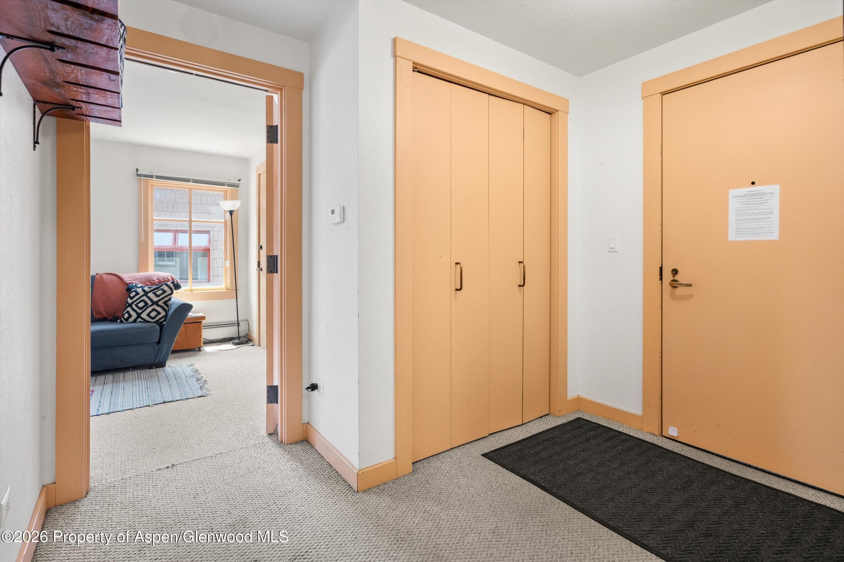 115 Boomerang Road 5309, Aspen, CO 81611 - Photo 29