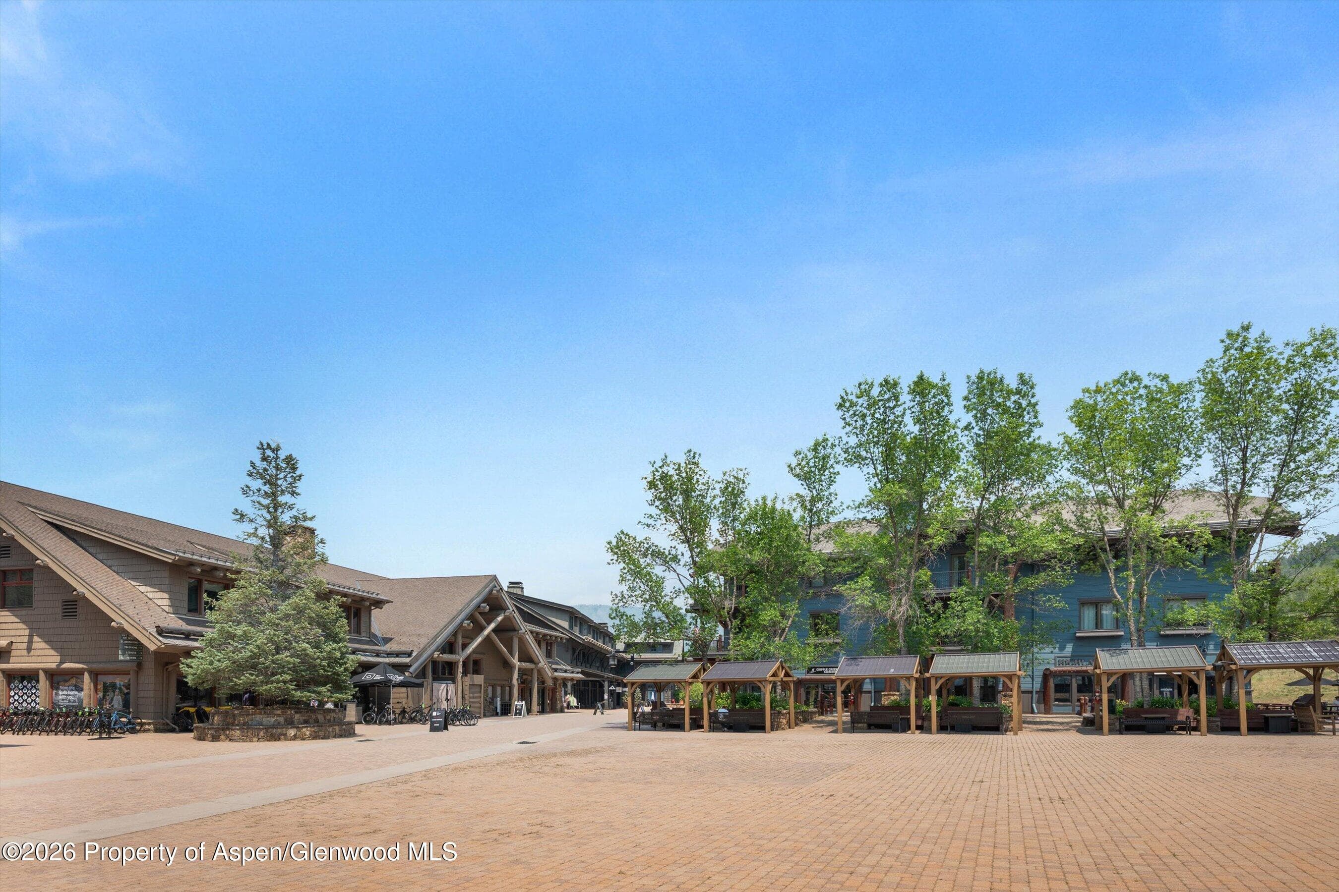 115 Boomerang Road 5309, Aspen, CO 81611 - Photo 31