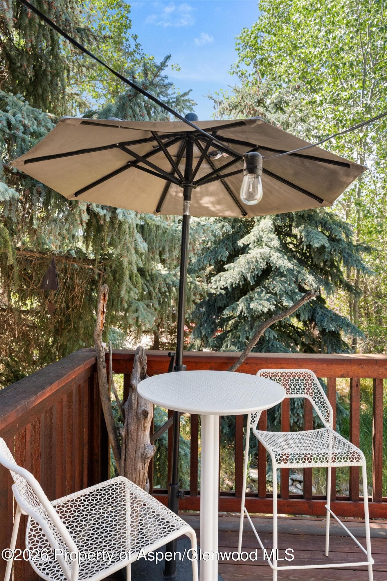 414 Aspen Airport Business C, Aspen, CO 81611 - Photo 20
