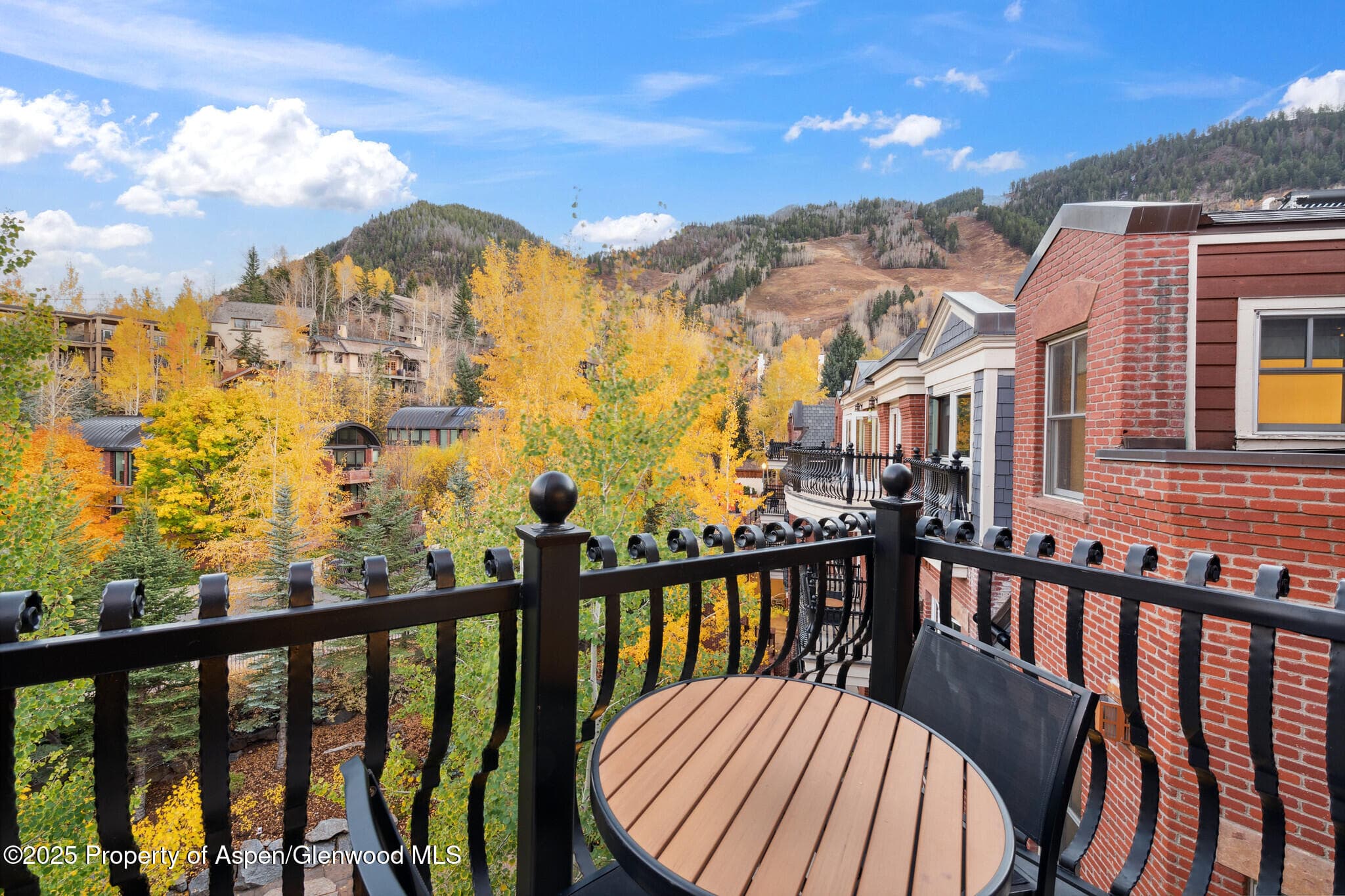 415 E Dean St, #47, Weeks 51/52, Aspen, CO 81611 - Photo 12
