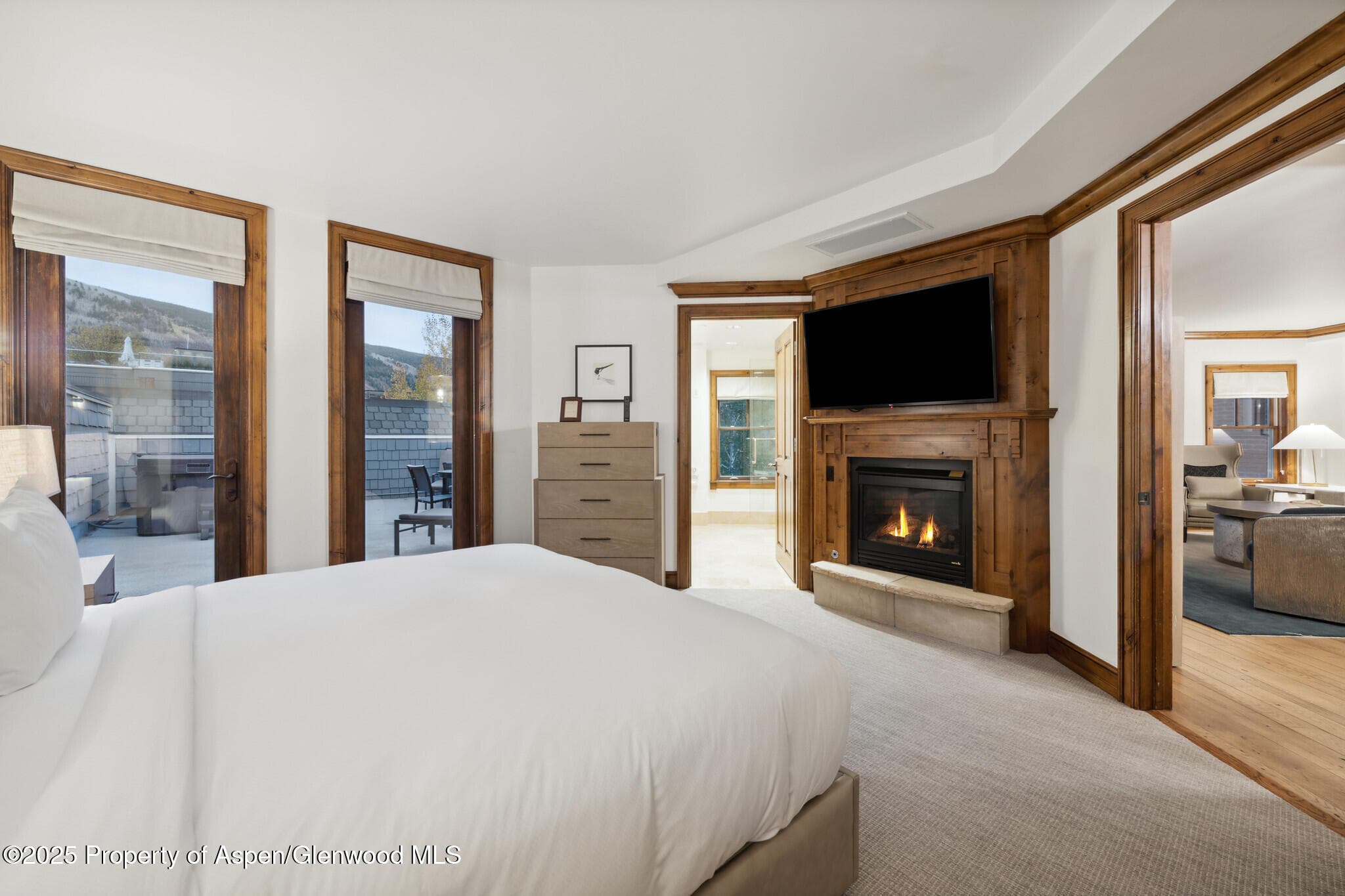 415 E Dean St, #47, Weeks 51/52, Aspen, CO 81611 - Photo 14