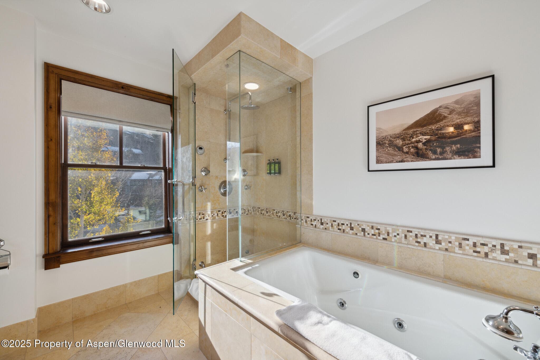 415 E Dean St, #47, Weeks 51/52, Aspen, CO 81611 - Photo 17