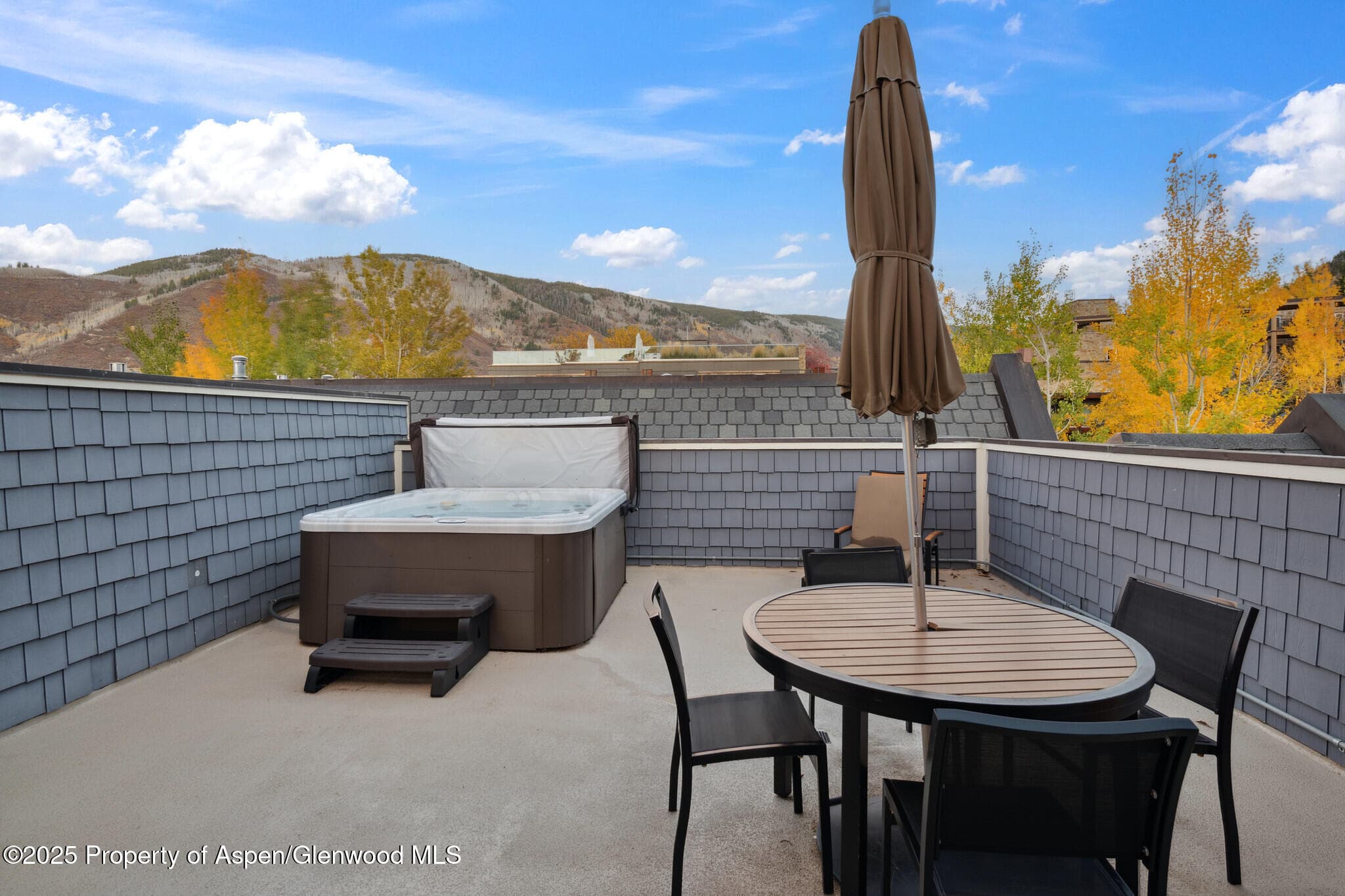 415 E Dean St, #47, Weeks 51/52, Aspen, CO 81611 - Photo 19