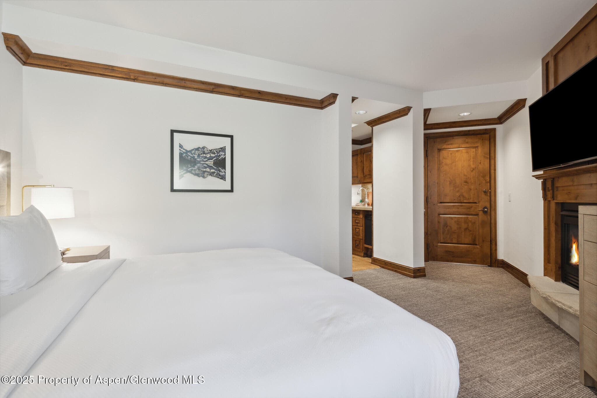 415 E Dean St, #47, Weeks 51/52, Aspen, CO 81611 - Photo 20