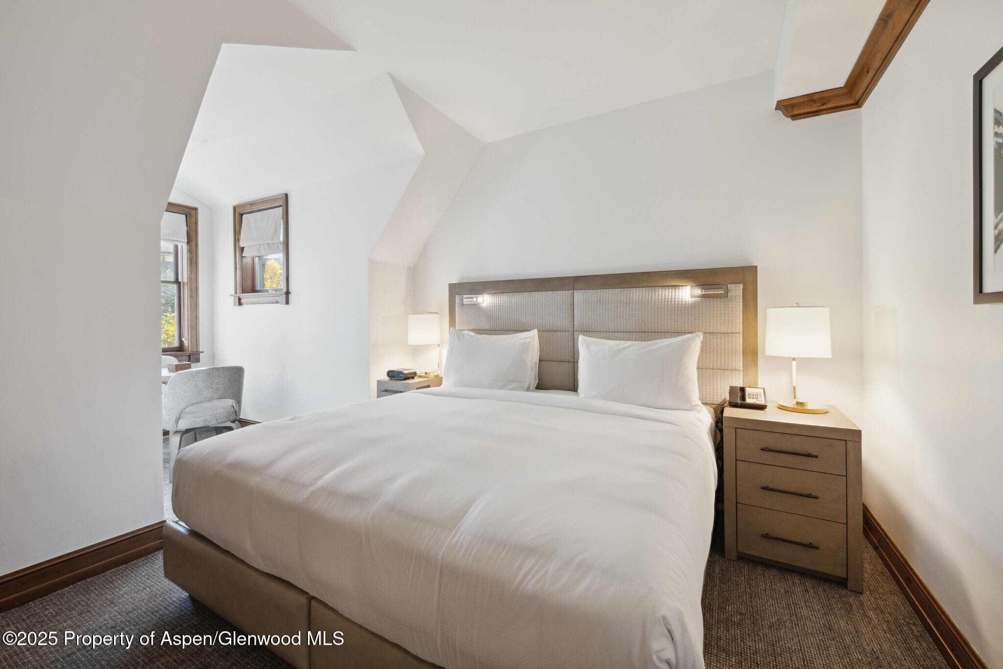 415 E Dean St, #47, Weeks 51/52, Aspen, CO 81611 - Photo 21