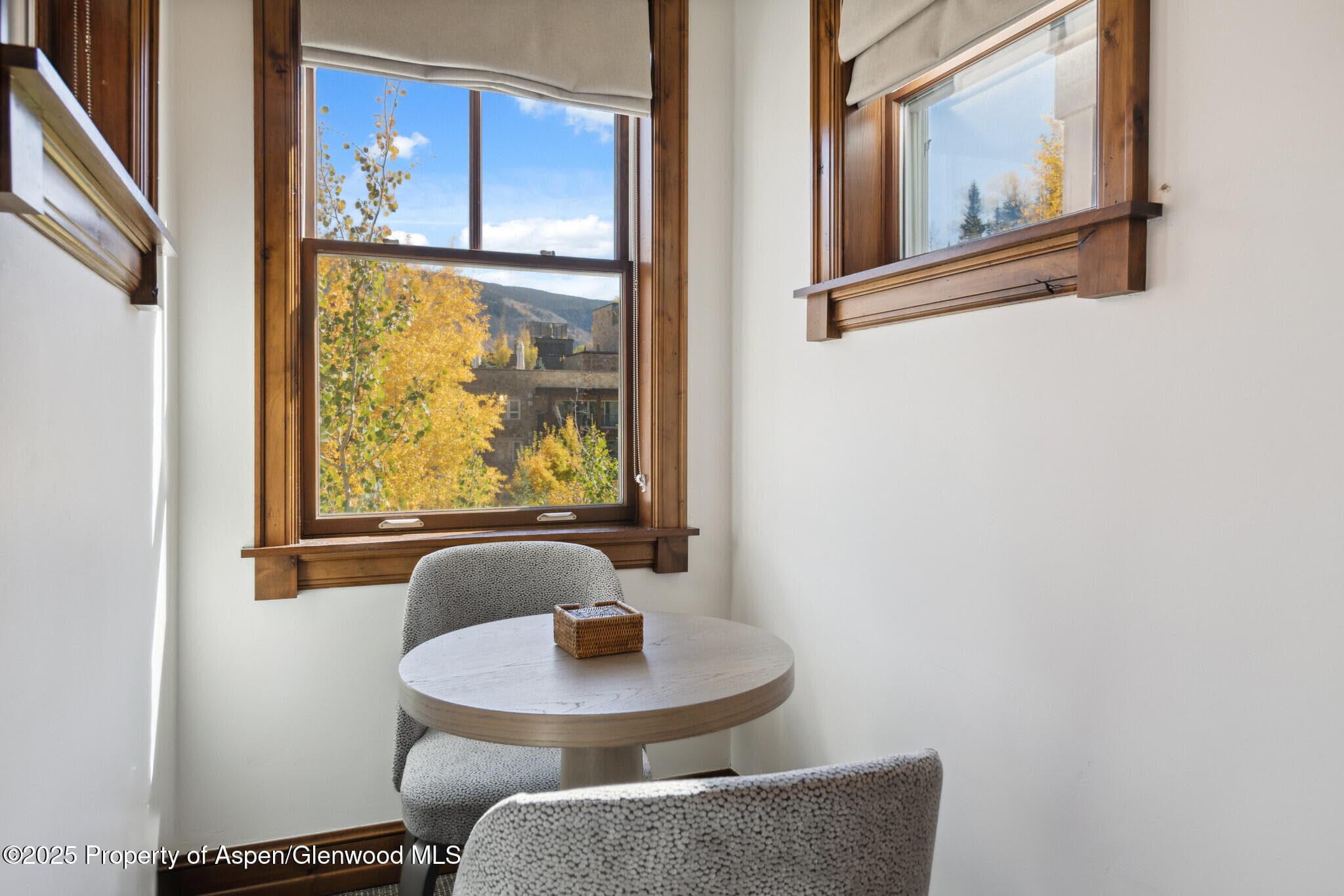 415 E Dean St, #47, Weeks 51/52, Aspen, CO 81611 - Photo 23