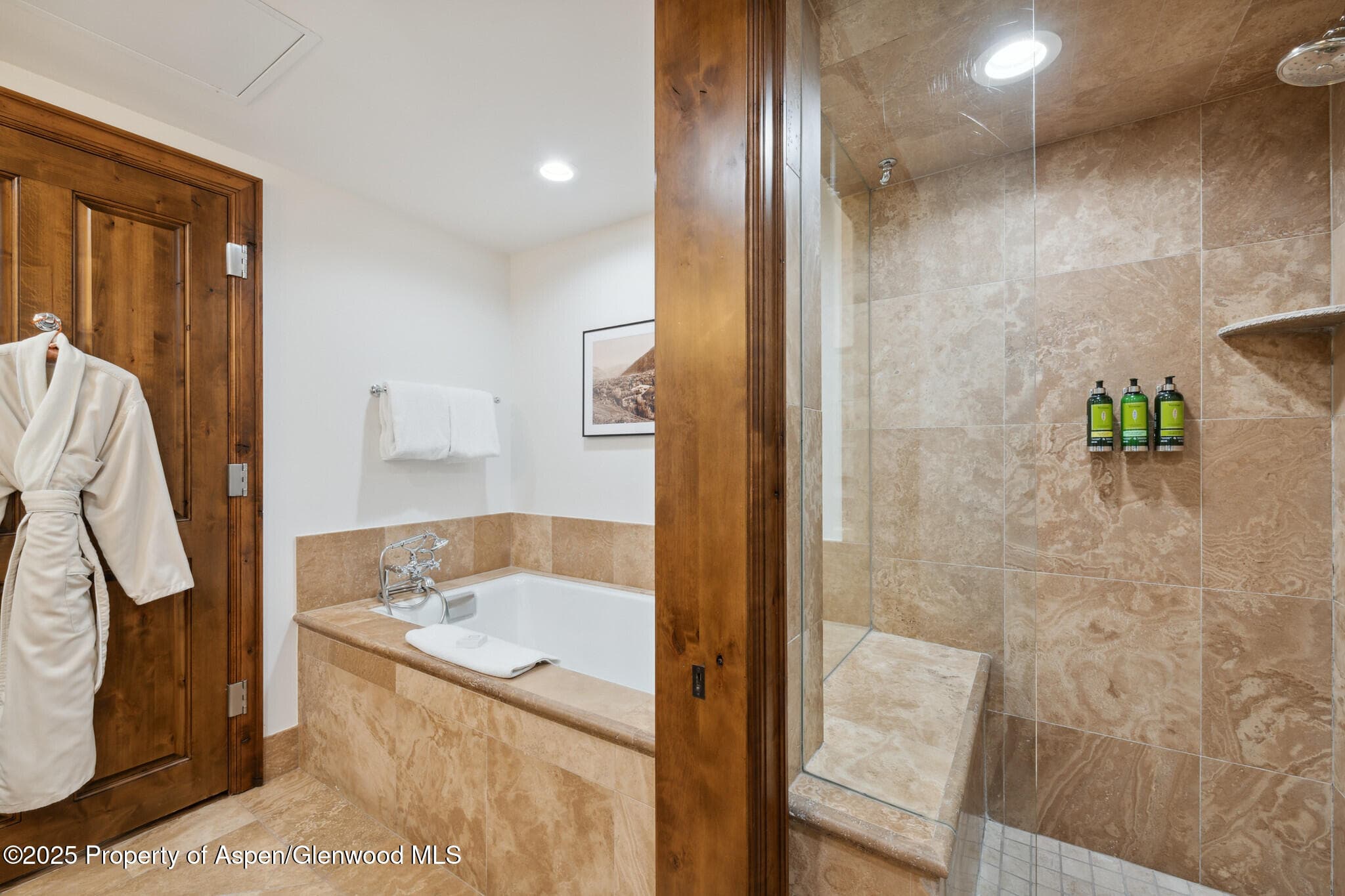 415 E Dean St, #47, Weeks 51/52, Aspen, CO 81611 - Photo 25