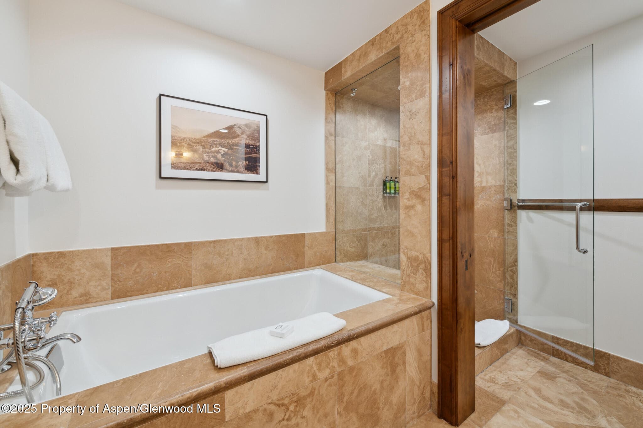 415 E Dean St, #47, Weeks 51/52, Aspen, CO 81611 - Photo 28