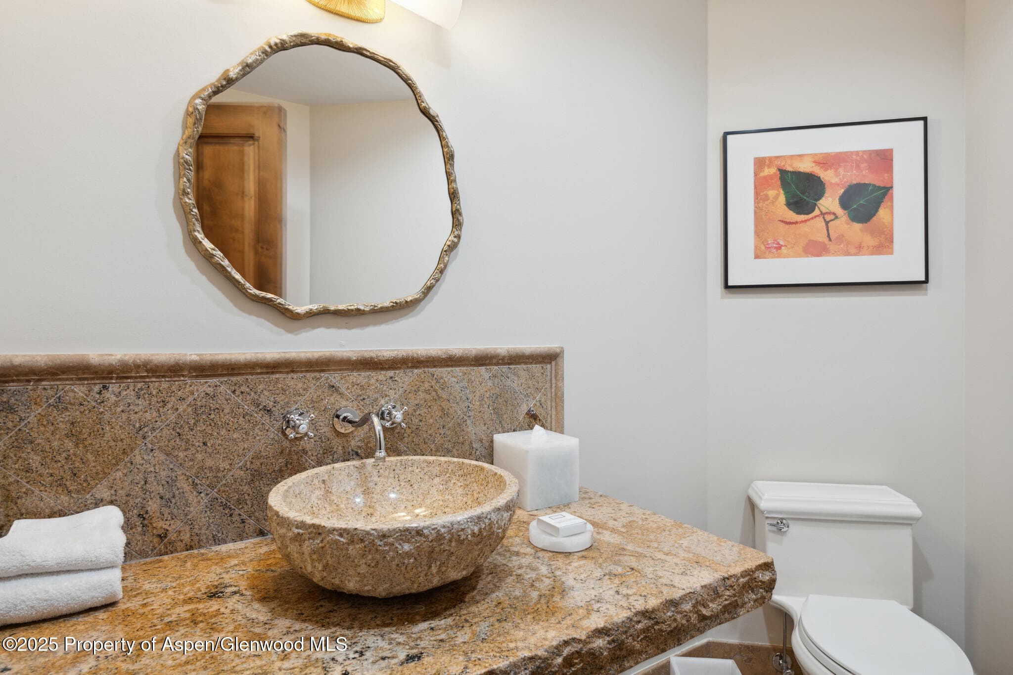 415 E Dean St, #47, Weeks 51/52, Aspen, CO 81611 - Photo 29