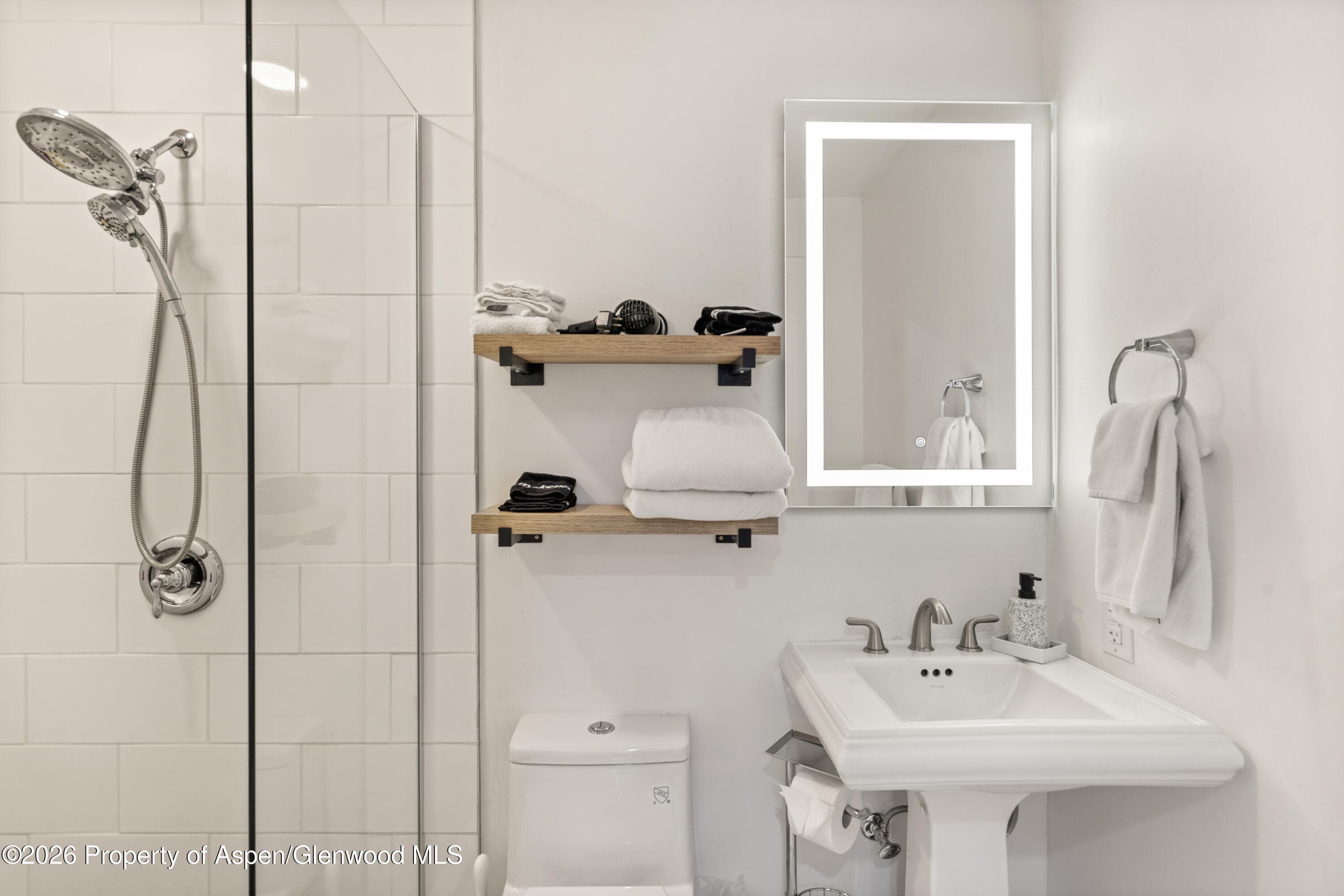 1020 E Durant Avenue 203, Aspen, CO 81611 - Photo 7