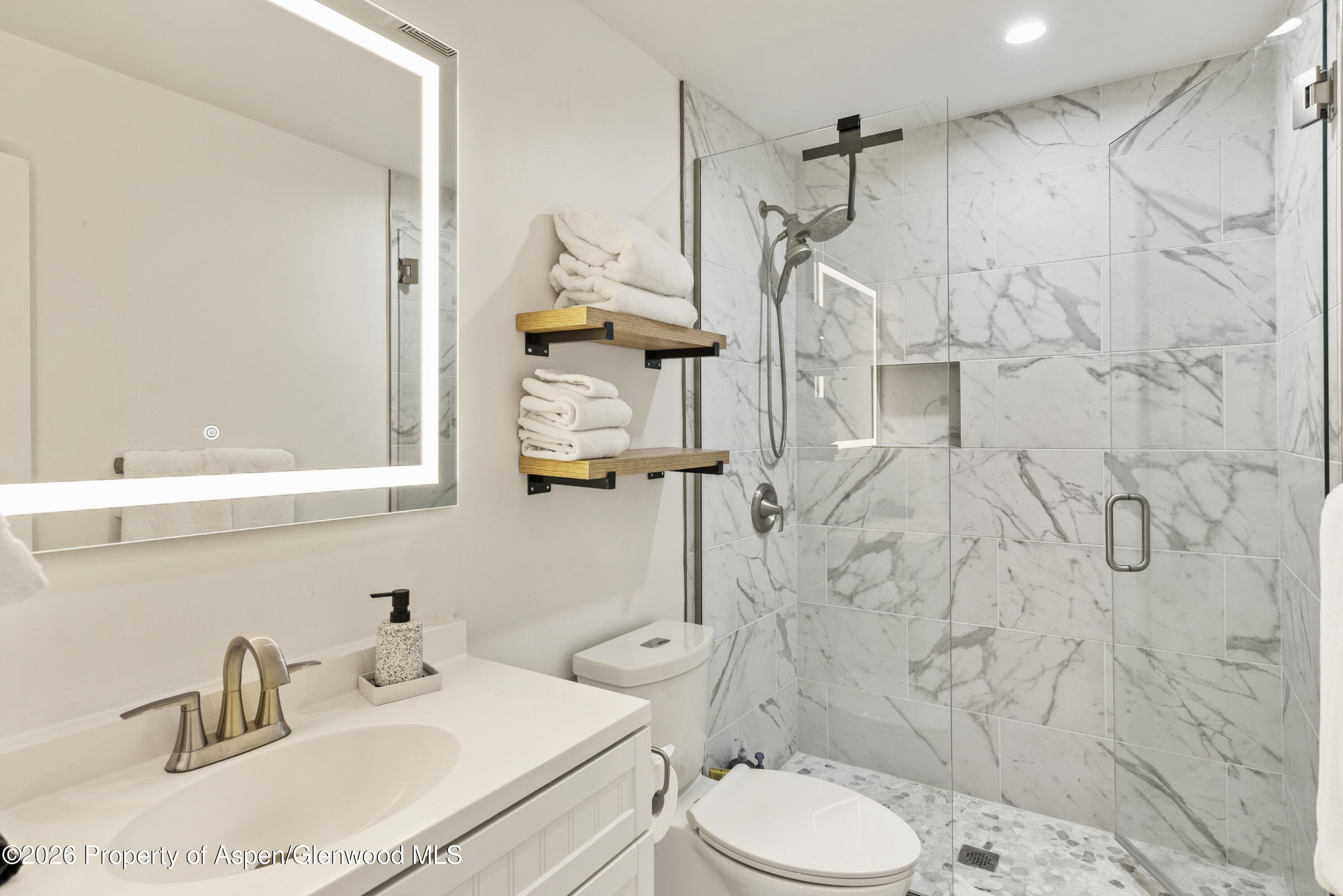 1020 E Durant Avenue 203, Aspen, CO 81611 - Photo 9