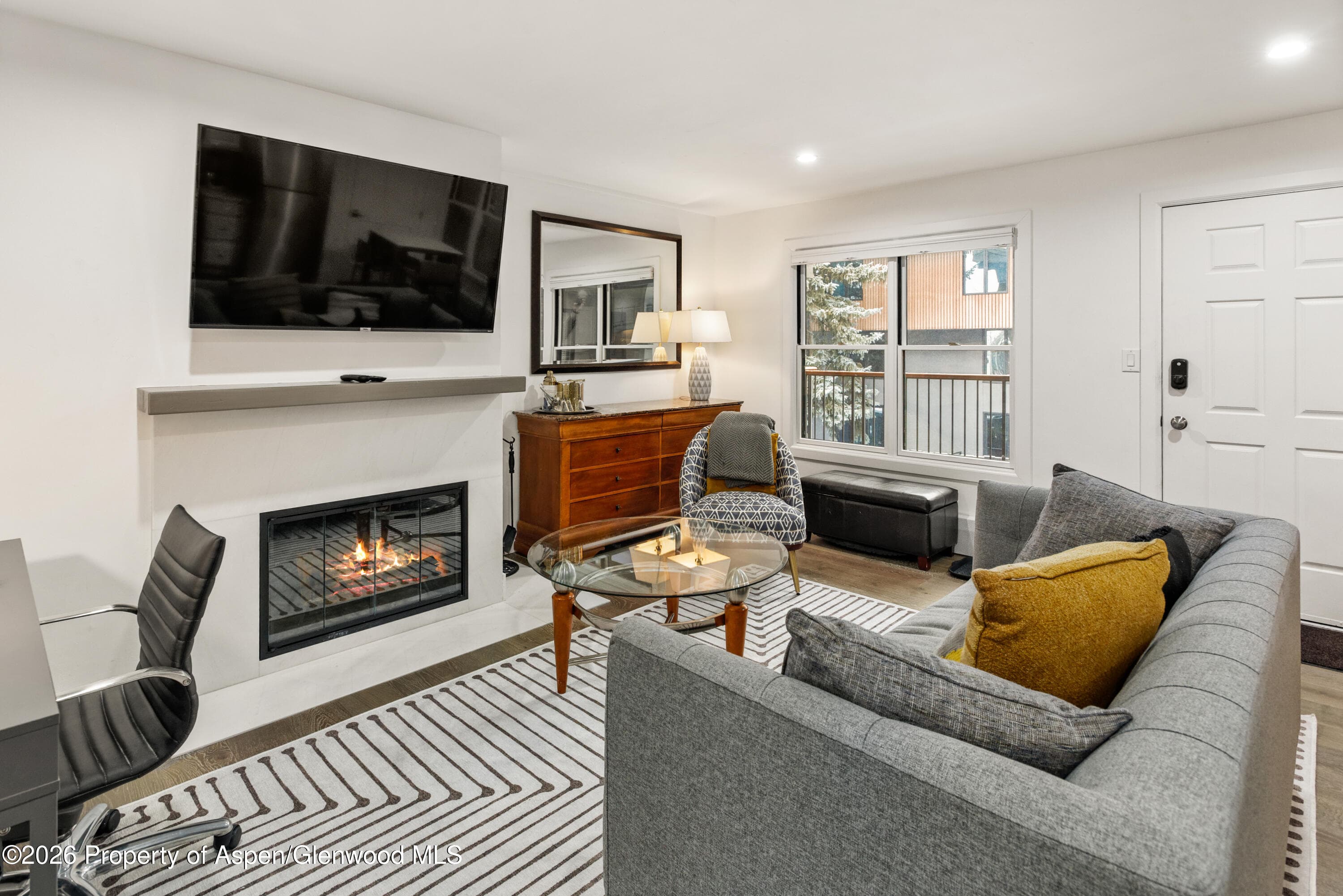 1020 E Durant Avenue 203, Aspen, CO 81611 - Photo 3