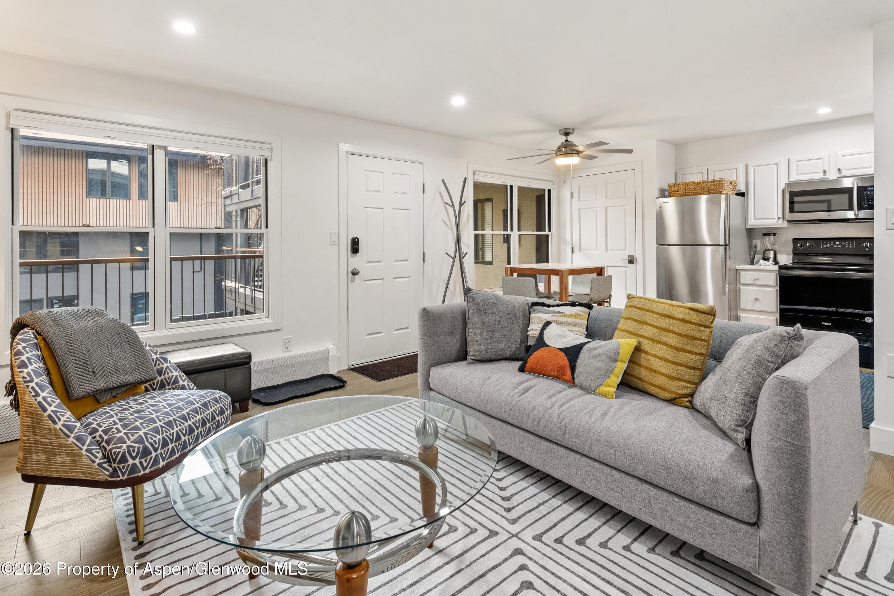 1020 E Durant Avenue 203, Aspen, CO 81611