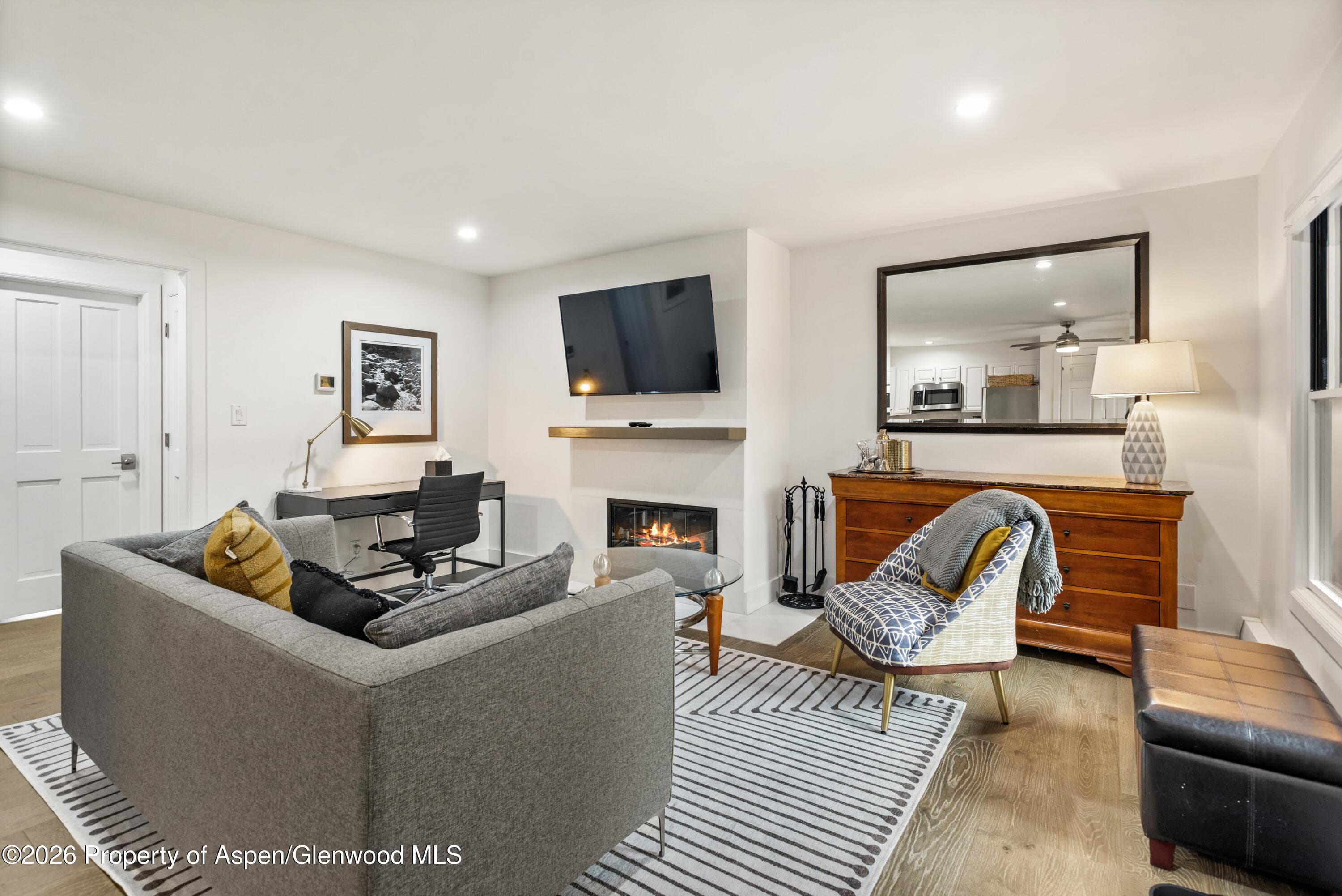 1020 E Durant Avenue 203, Aspen, CO 81611 - Photo 4