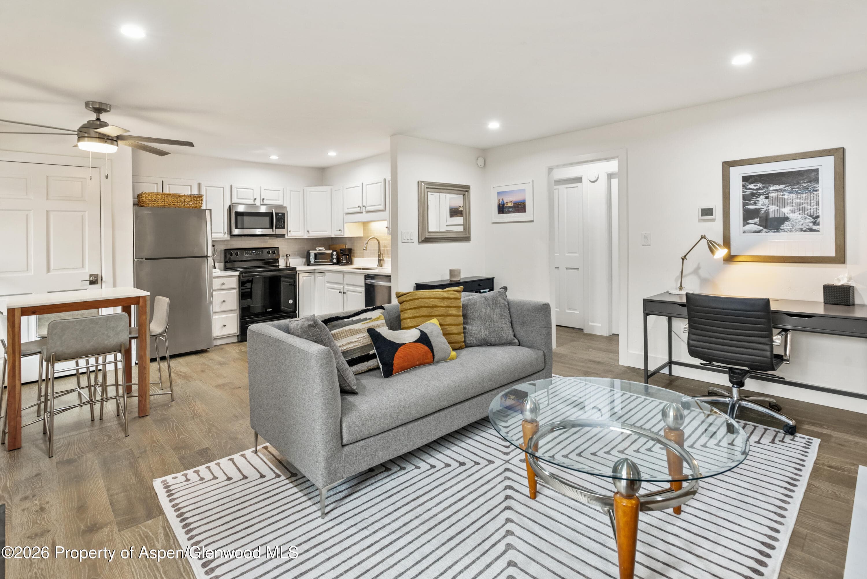 1020 E Durant Avenue 203, Aspen, CO 81611 - Photo 2