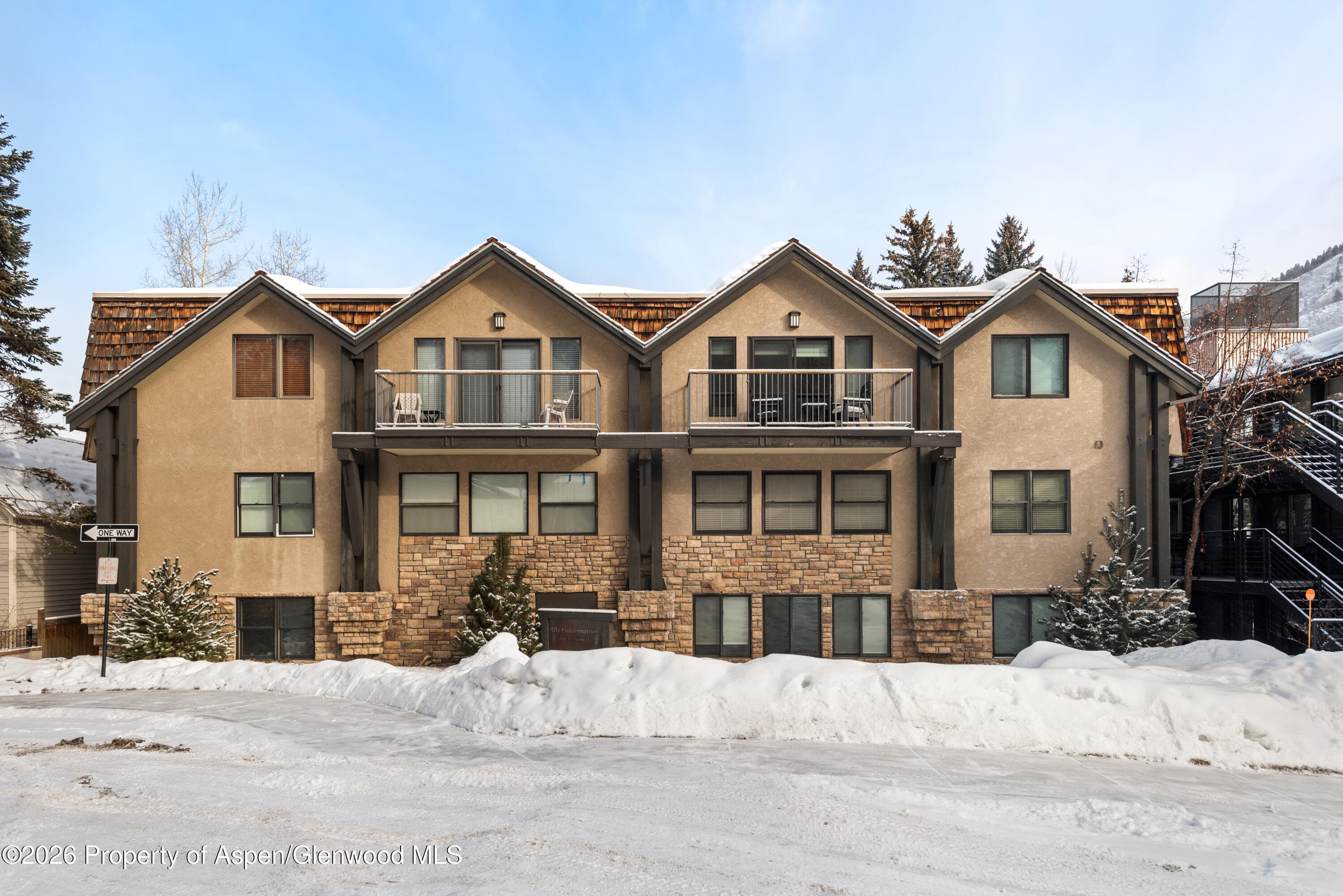 1020 E Durant Avenue 203, Aspen, CO 81611 - Photo 10