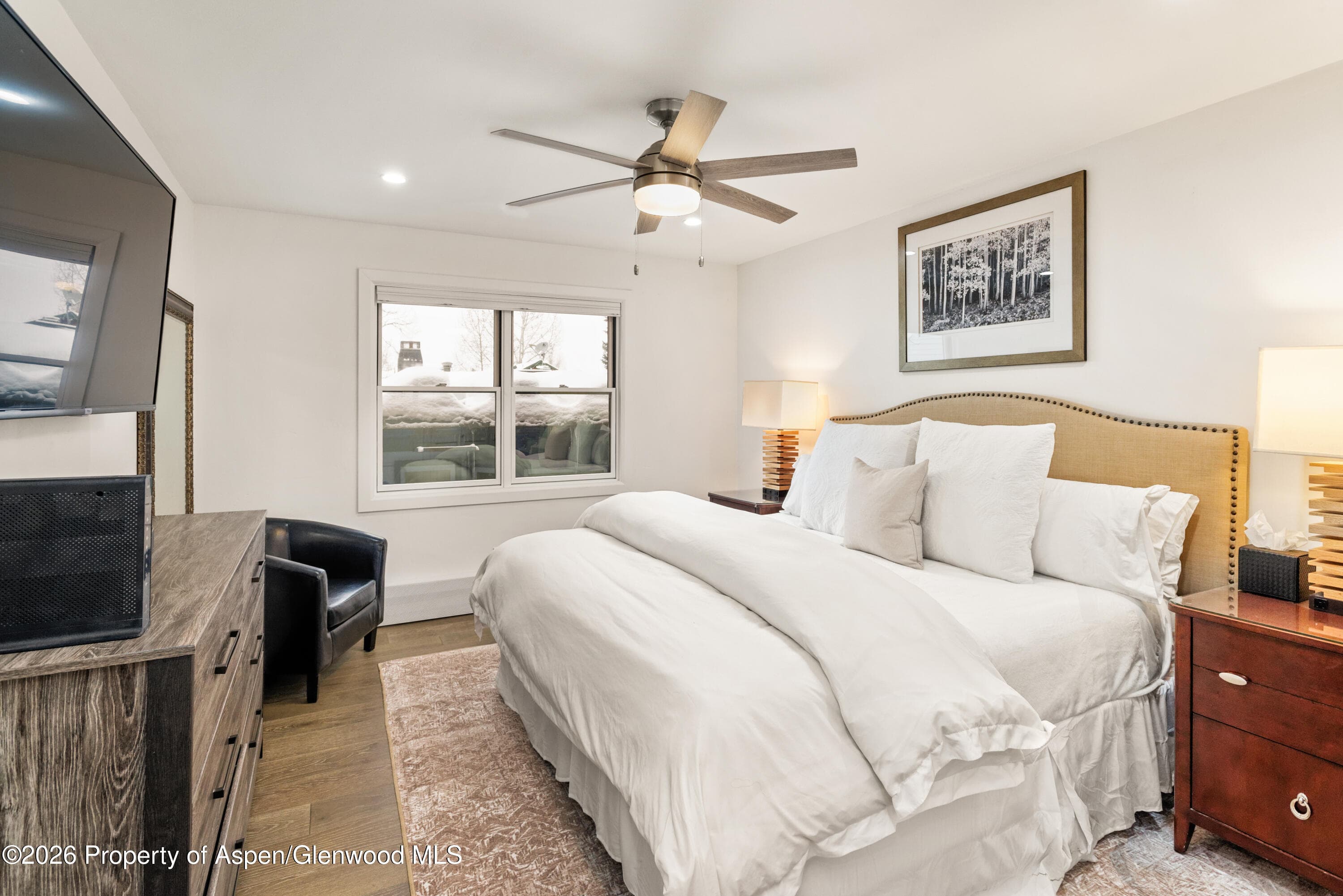 1020 E Durant Avenue 203, Aspen, CO 81611 - Photo 8