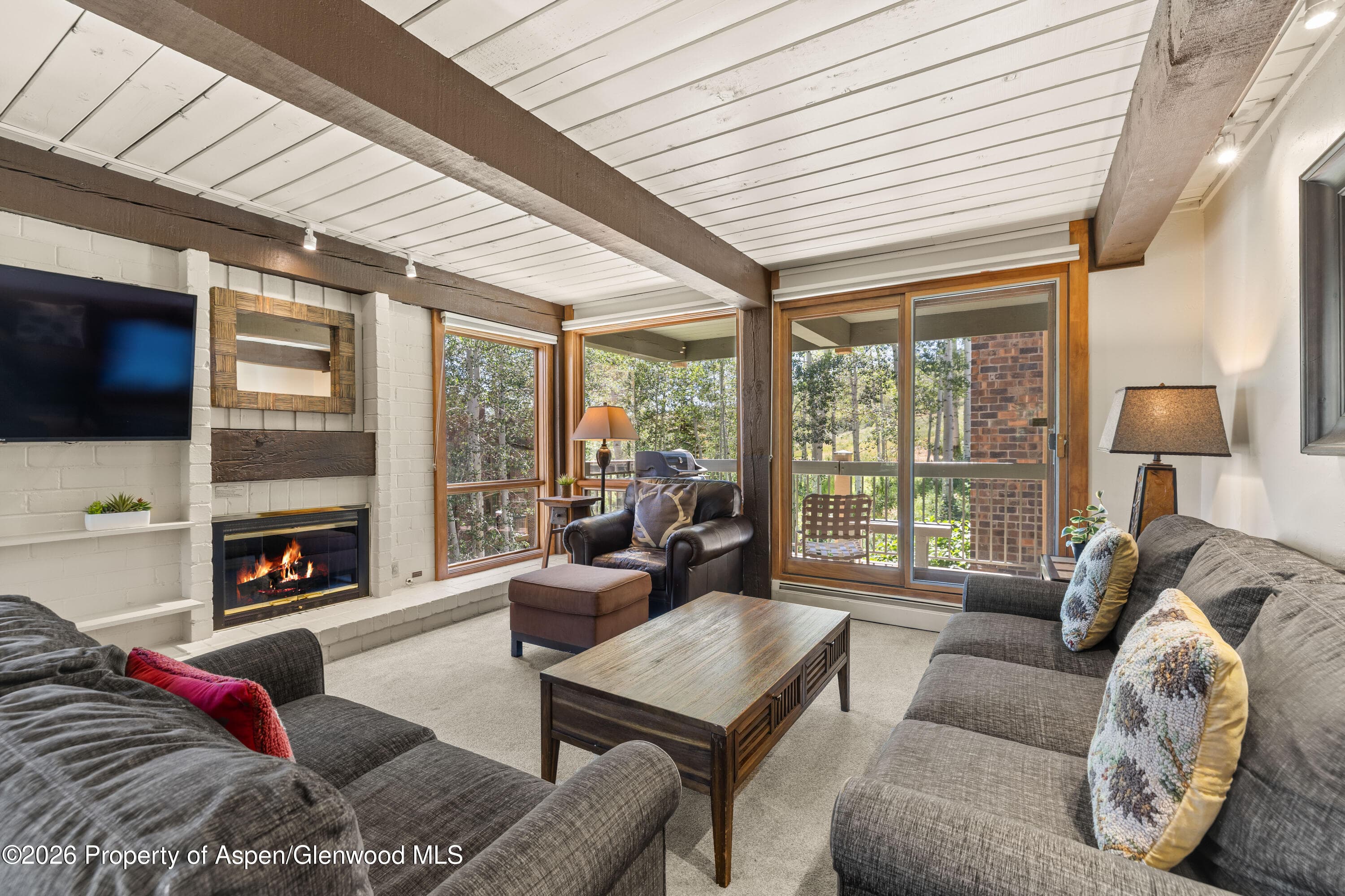 855 Carriage Way Slope 201, Snowmass Village, CO 81615 - Photo 3