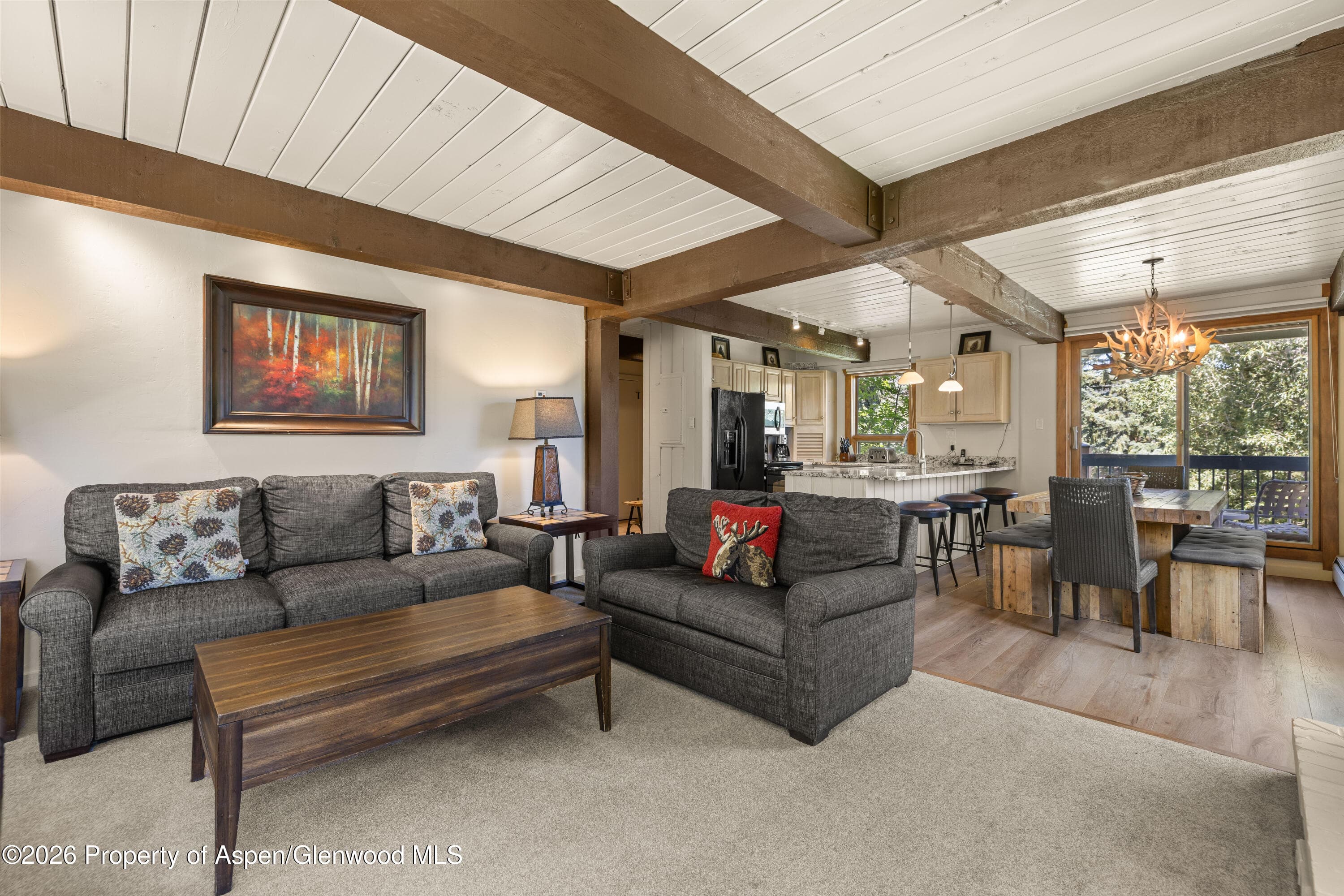855 Carriage Way Slope 201, Snowmass Village, CO 81615 - Photo 4