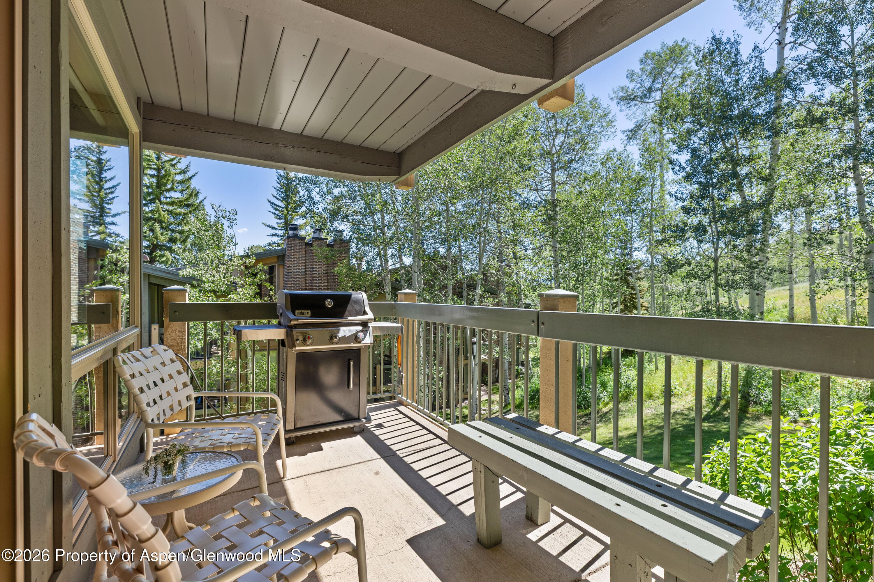 855 Carriage Way Slope 201, Snowmass Village, CO 81615 - Photo 6