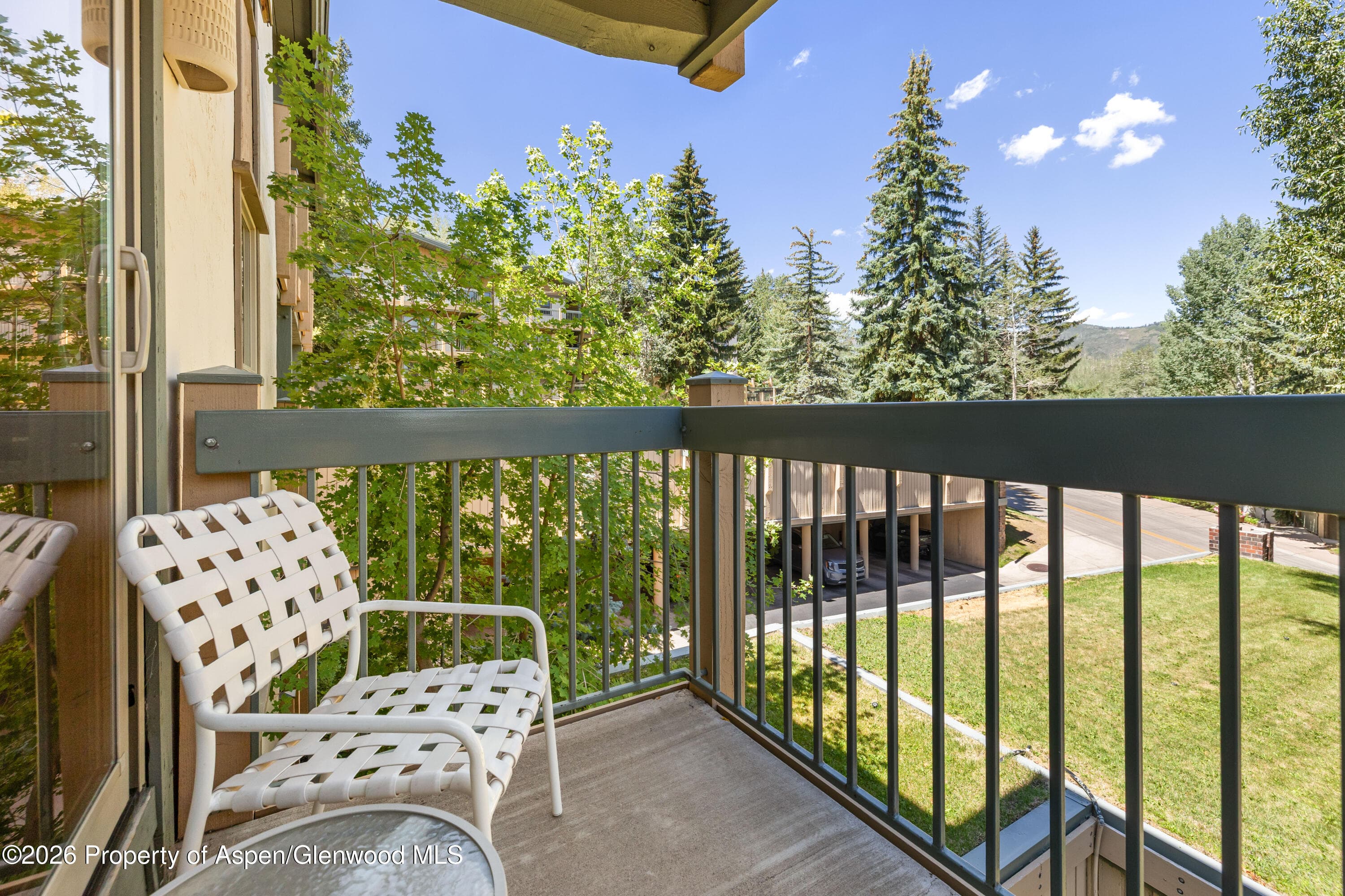 855 Carriage Way Slope 201, Snowmass Village, CO 81615 - Photo 7