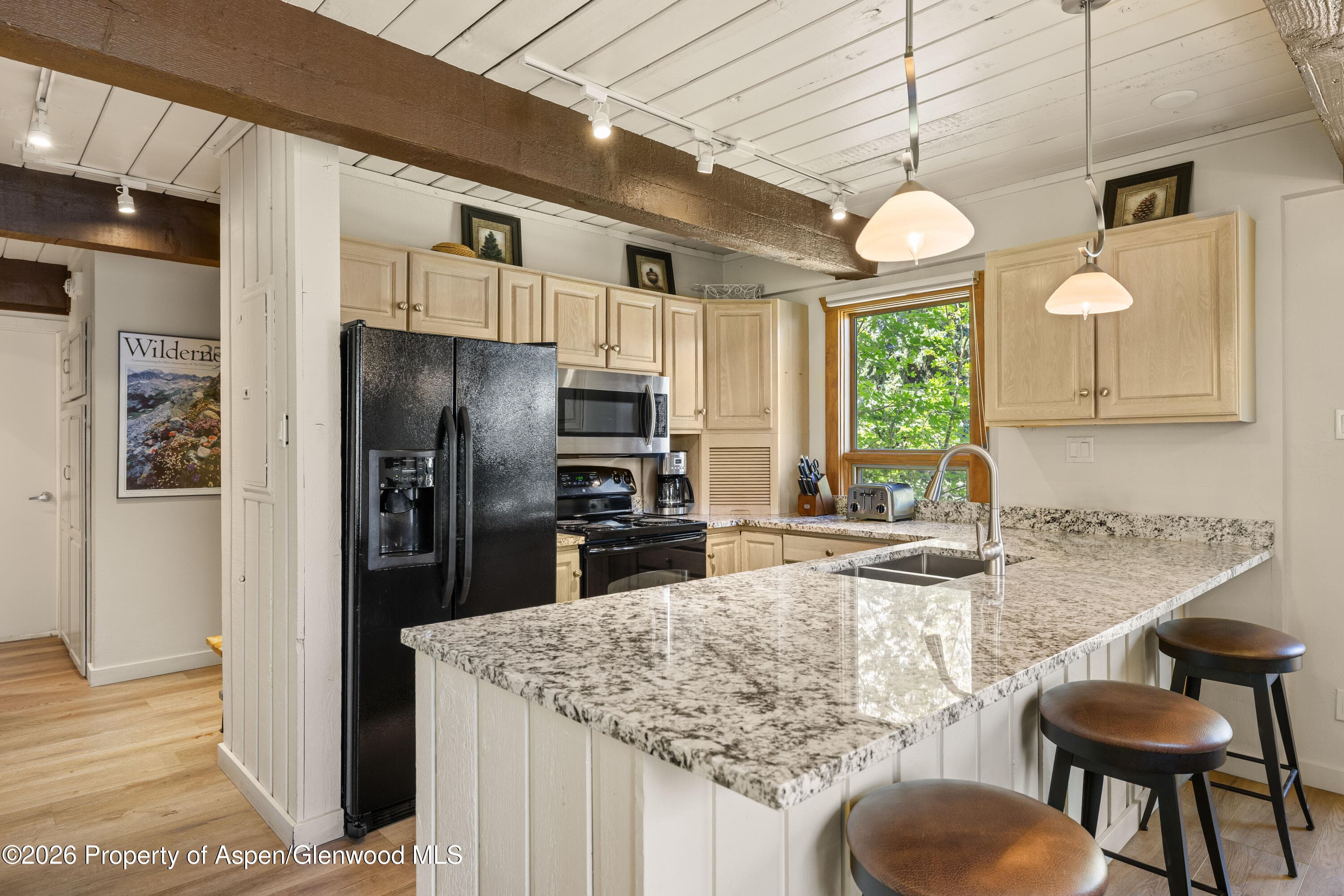 855 Carriage Way Slope 201, Snowmass Village, CO 81615 - Photo 5