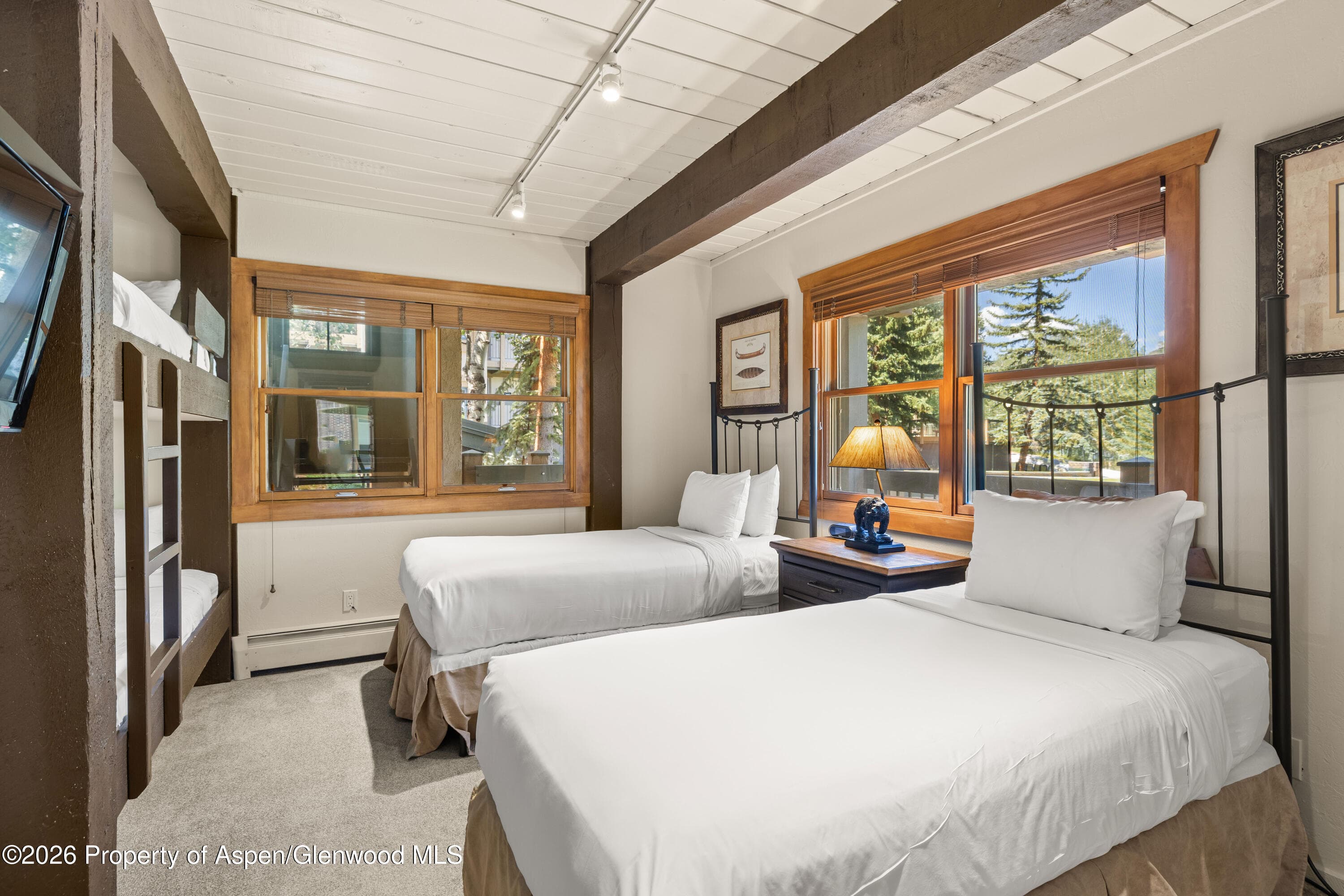 855 Carriage Way Slope 201, Snowmass Village, CO 81615 - Photo 8