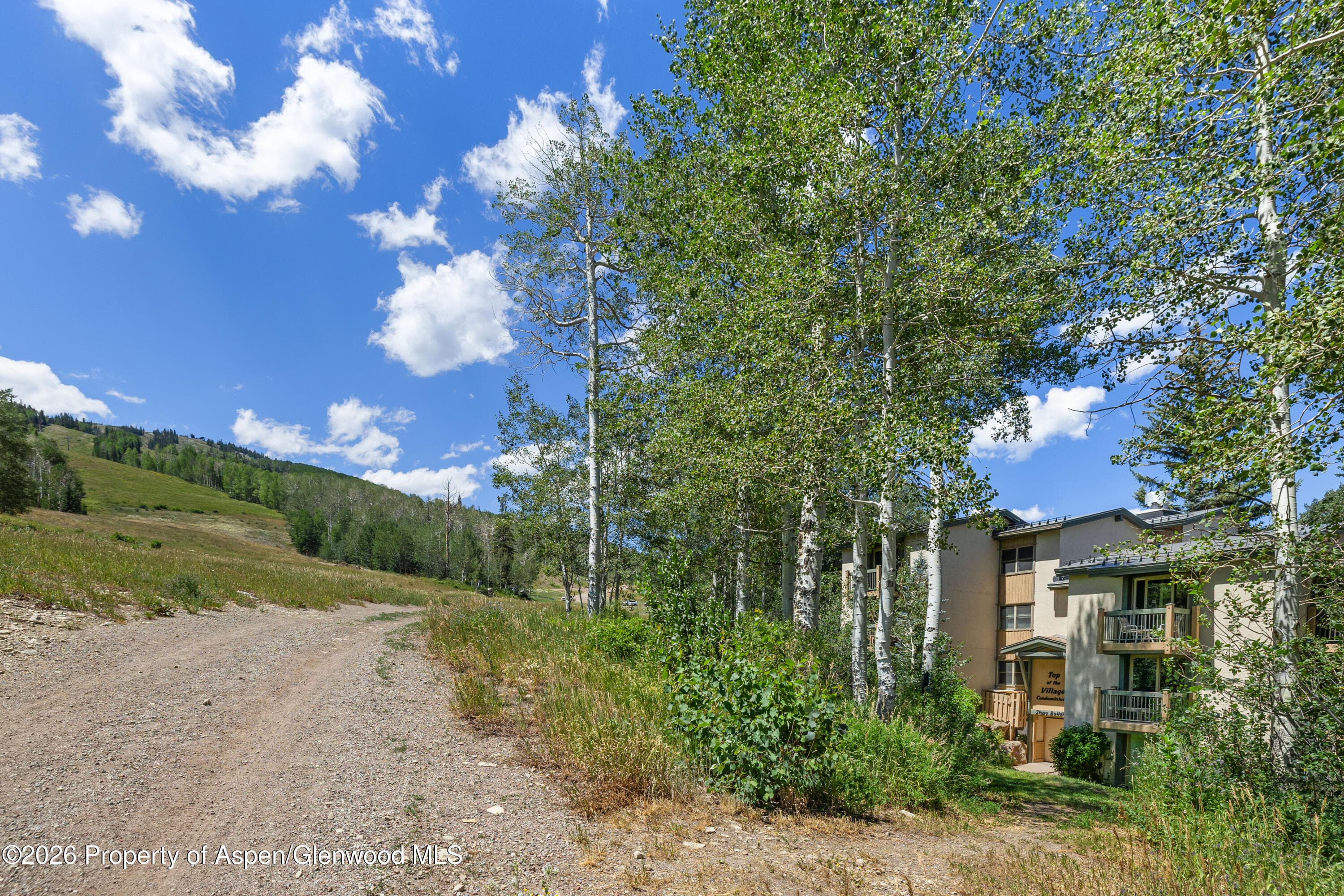 855 Carriage Way Slope 201, Snowmass Village, CO 81615 - Photo 13