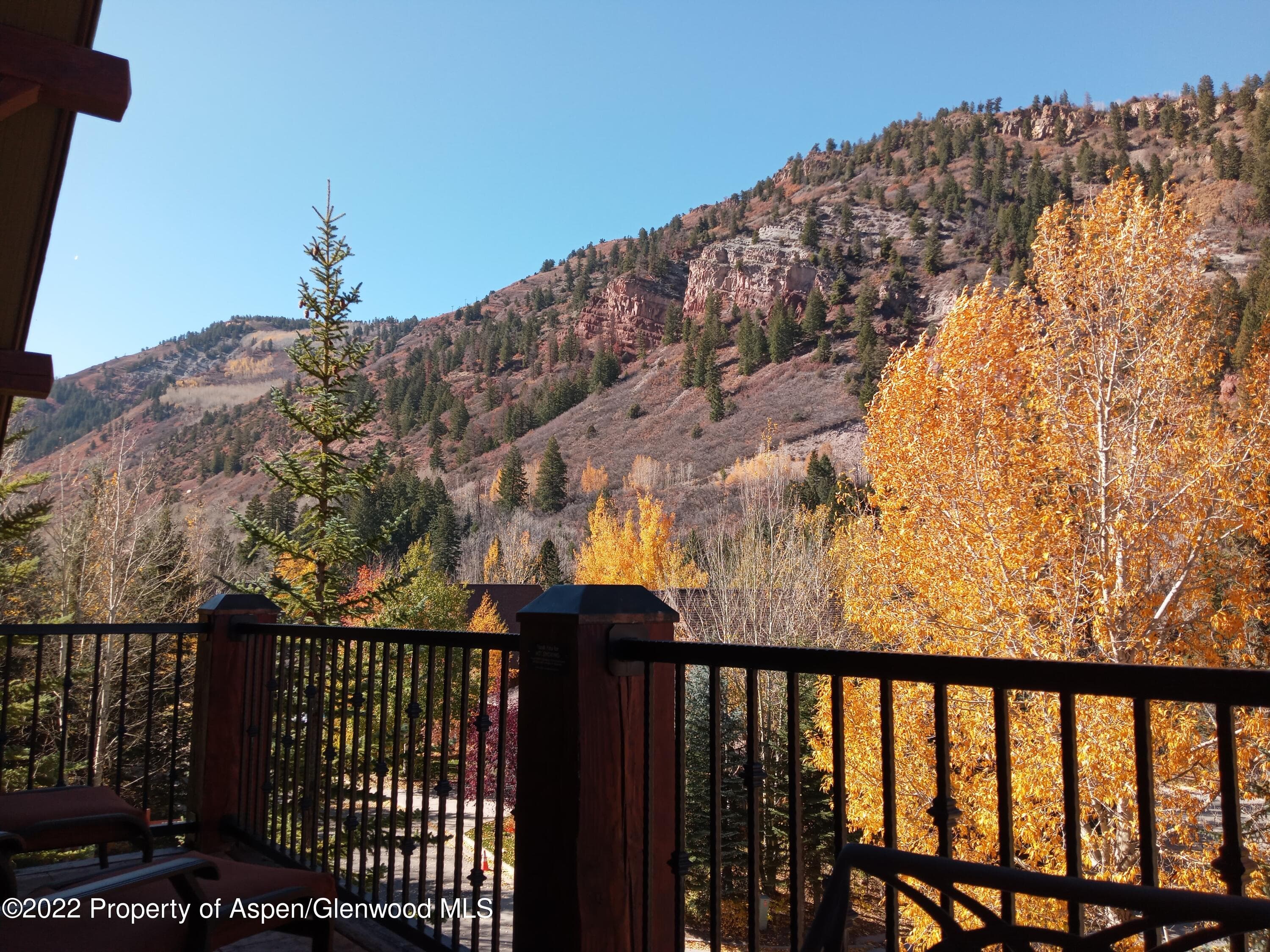 0039 Boomerang Rd. Road 8312 Summer Preferred 22, Aspen, CO 81611 - Photo 22