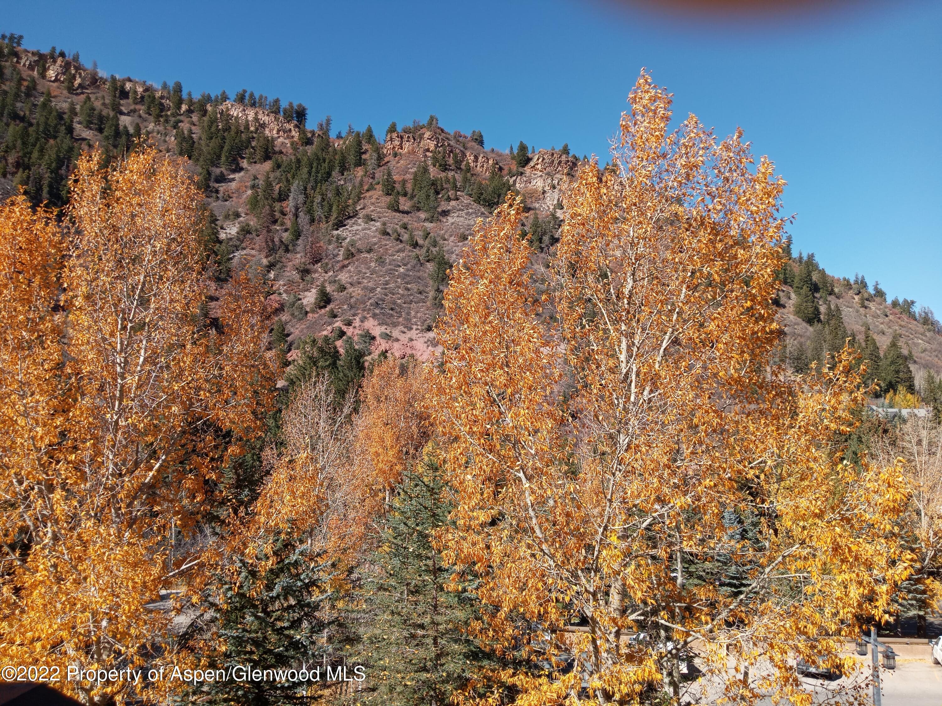 0039 Boomerang Rd. Road 8312 Summer Preferred 22, Aspen, CO 81611 - Photo 23