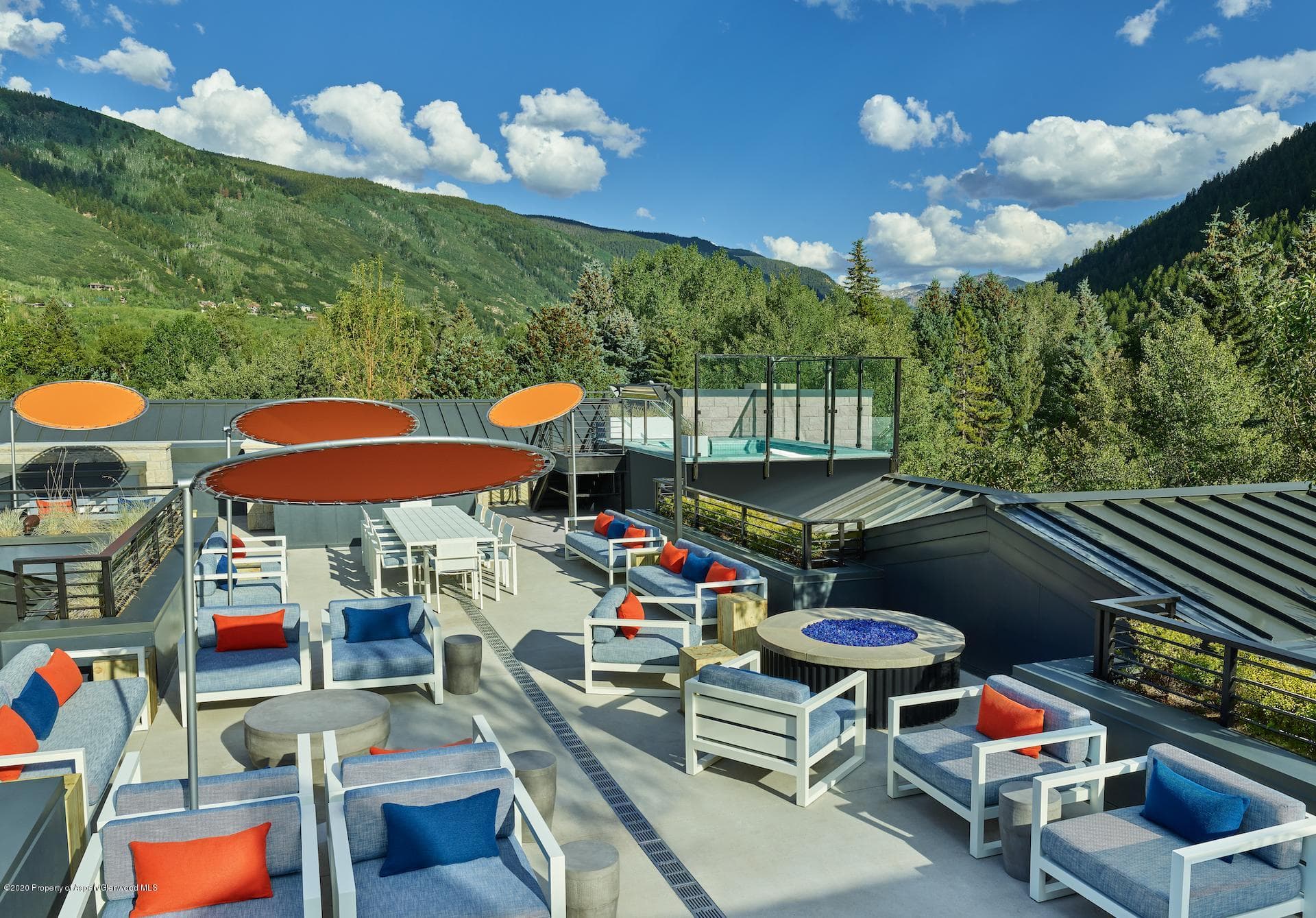 550 S Spring Street F-3, Aspen, CO 81611 - Photo 8