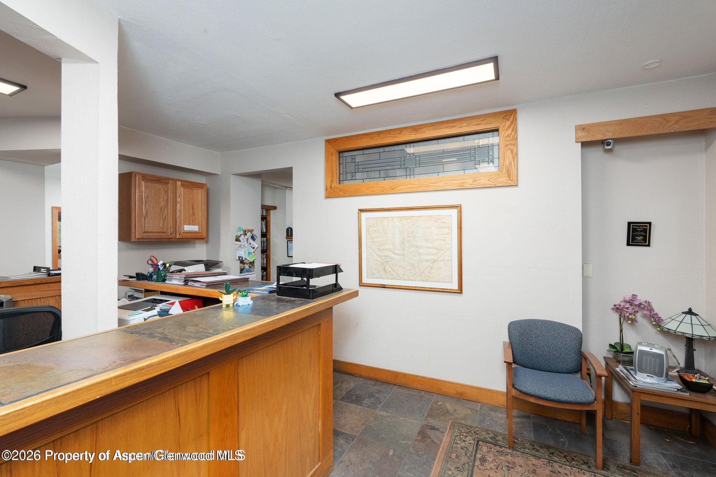 715 W Main Street 201, 202 & 203, Aspen, CO 81611 - Photo 3