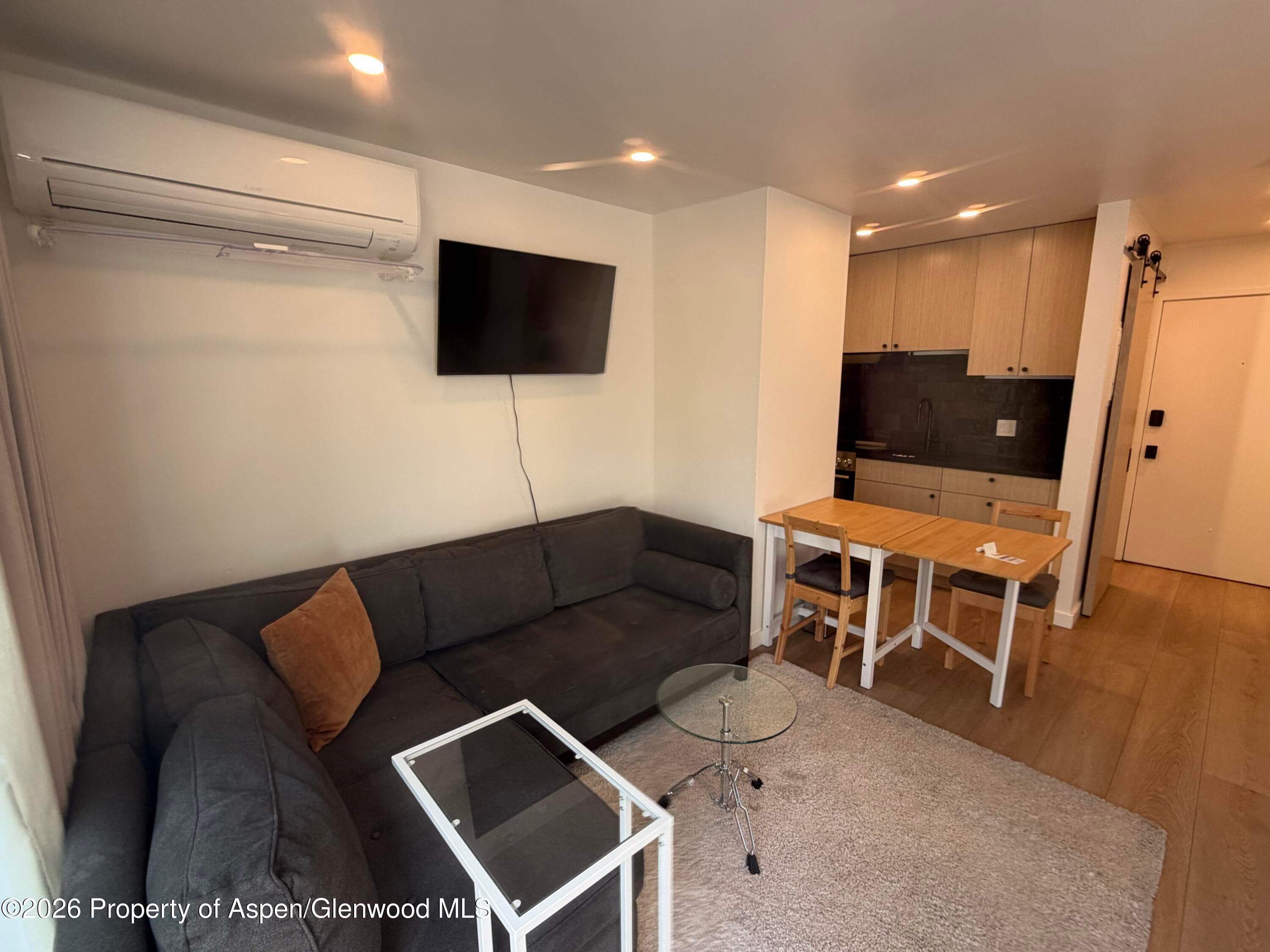 725 E Main Street 107, Aspen, CO 81611