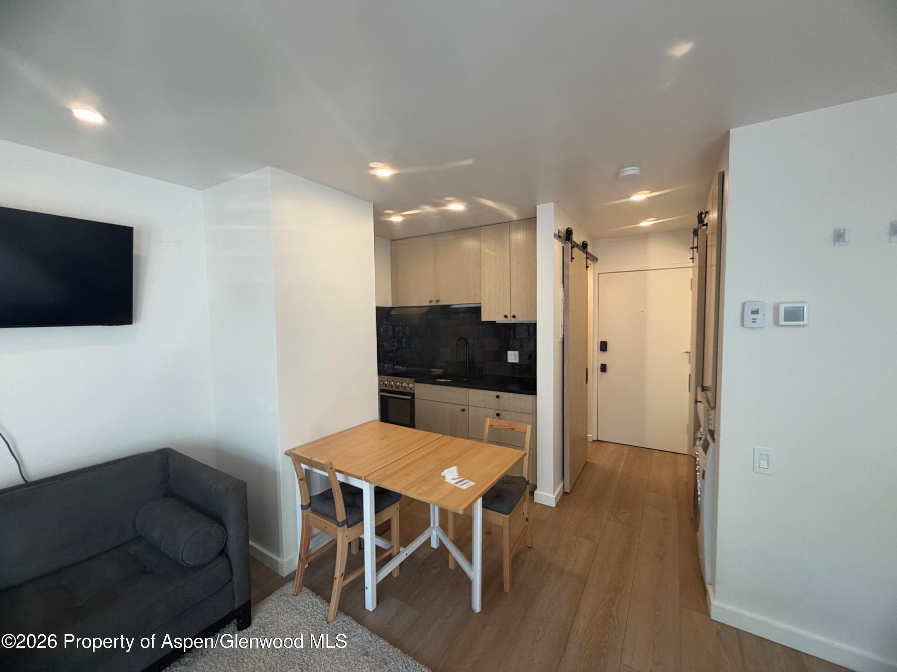 725 E Main Street 107, Aspen, CO 81611 - Photo 4