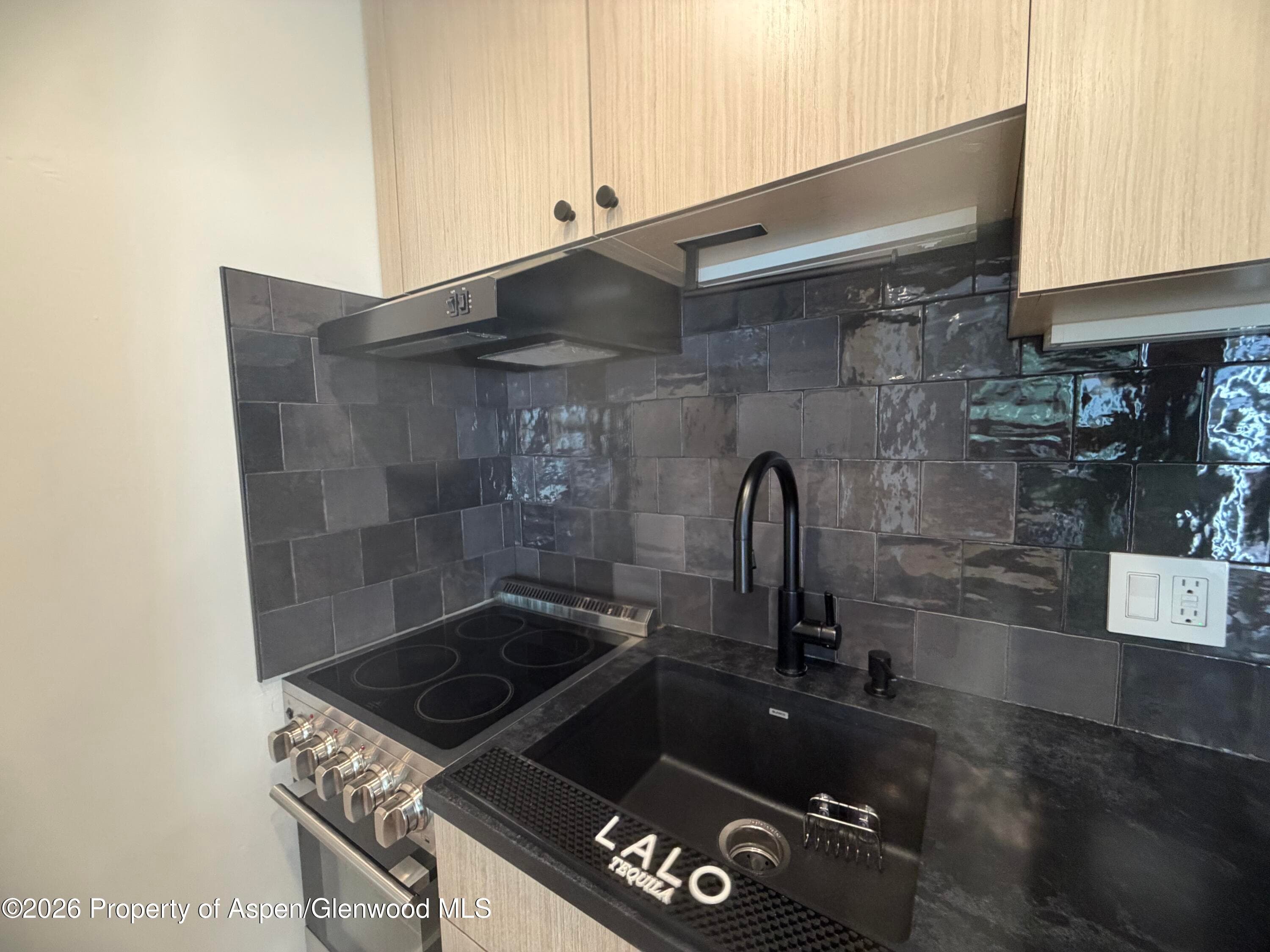725 E Main Street 107, Aspen, CO 81611 - Photo 3