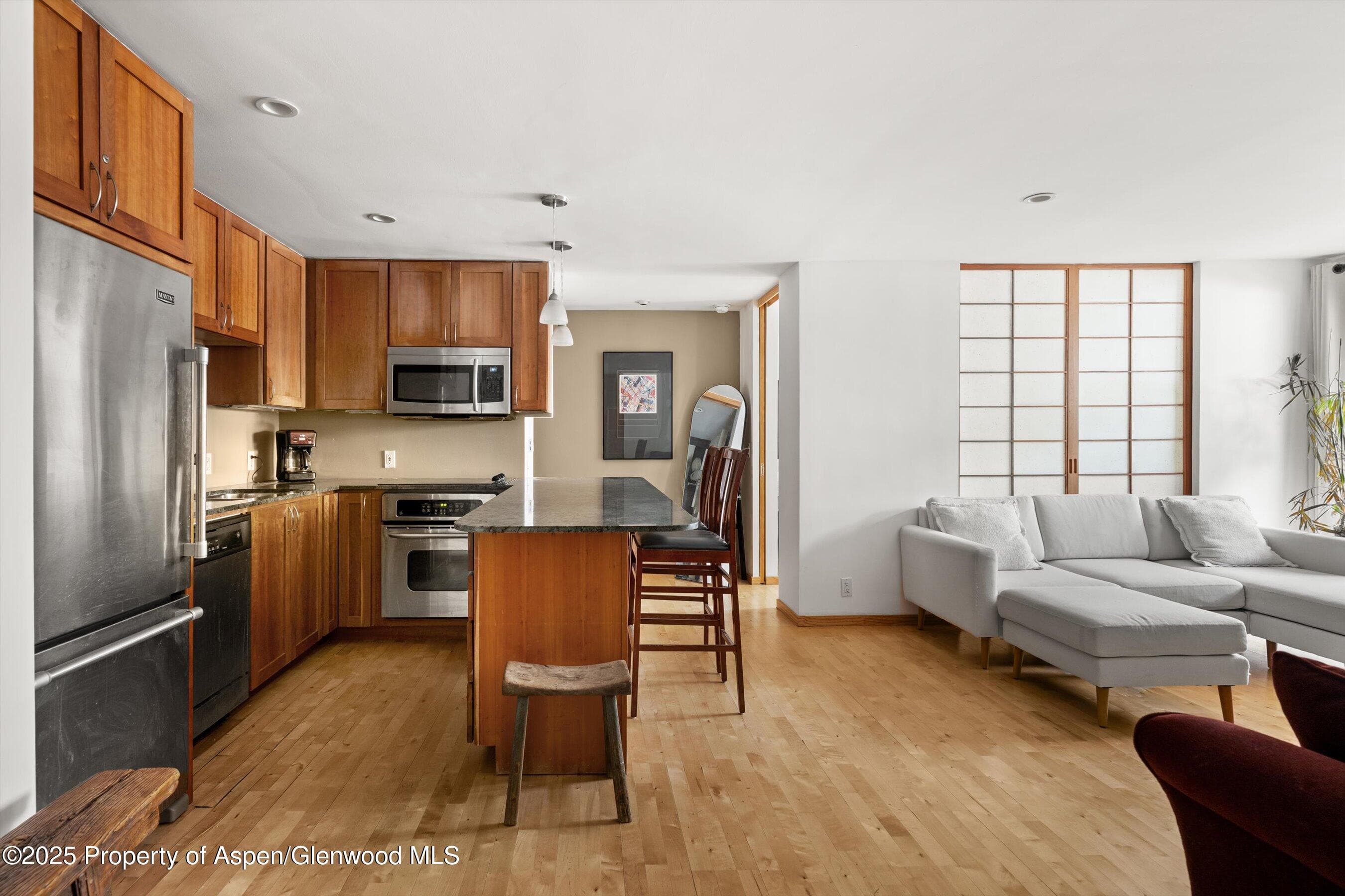 935 E Hopkins Avenue 7, Aspen, CO 81611
