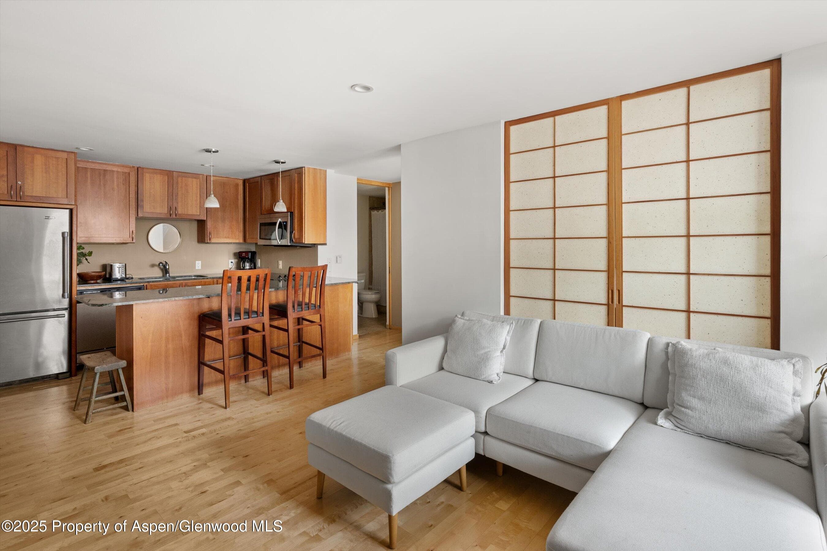 935 E Hopkins Avenue 7, Aspen, CO 81611 - Photo 2