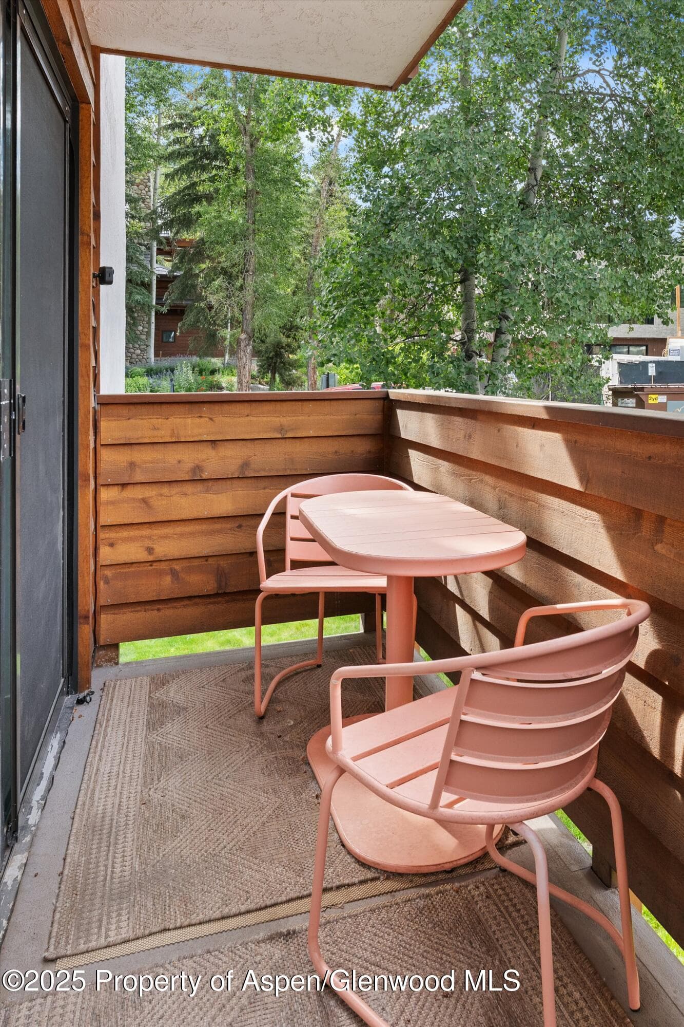 935 E Hopkins Avenue 7, Aspen, CO 81611 - Photo 4