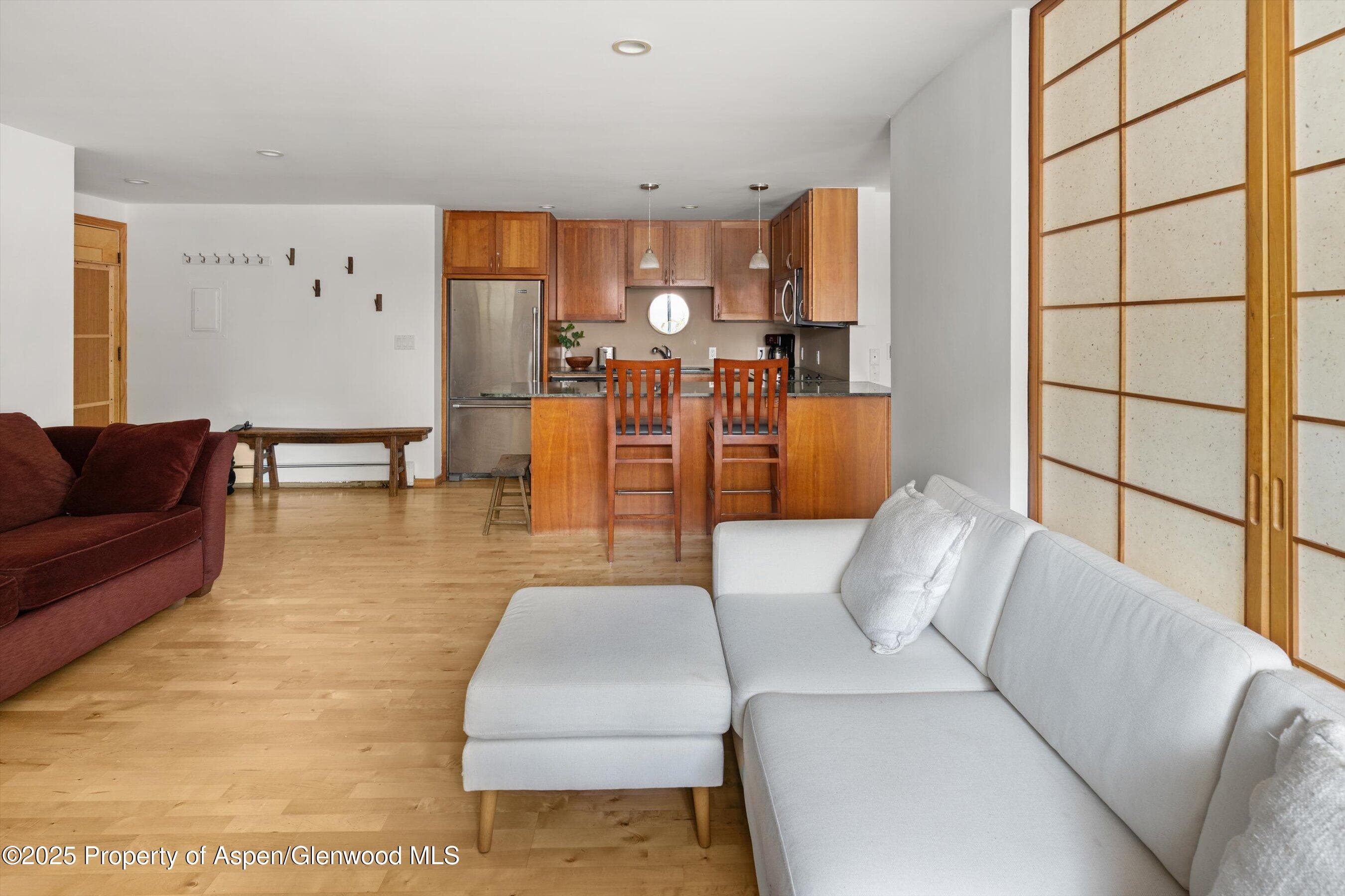 935 E Hopkins Avenue 7, Aspen, CO 81611 - Photo 9
