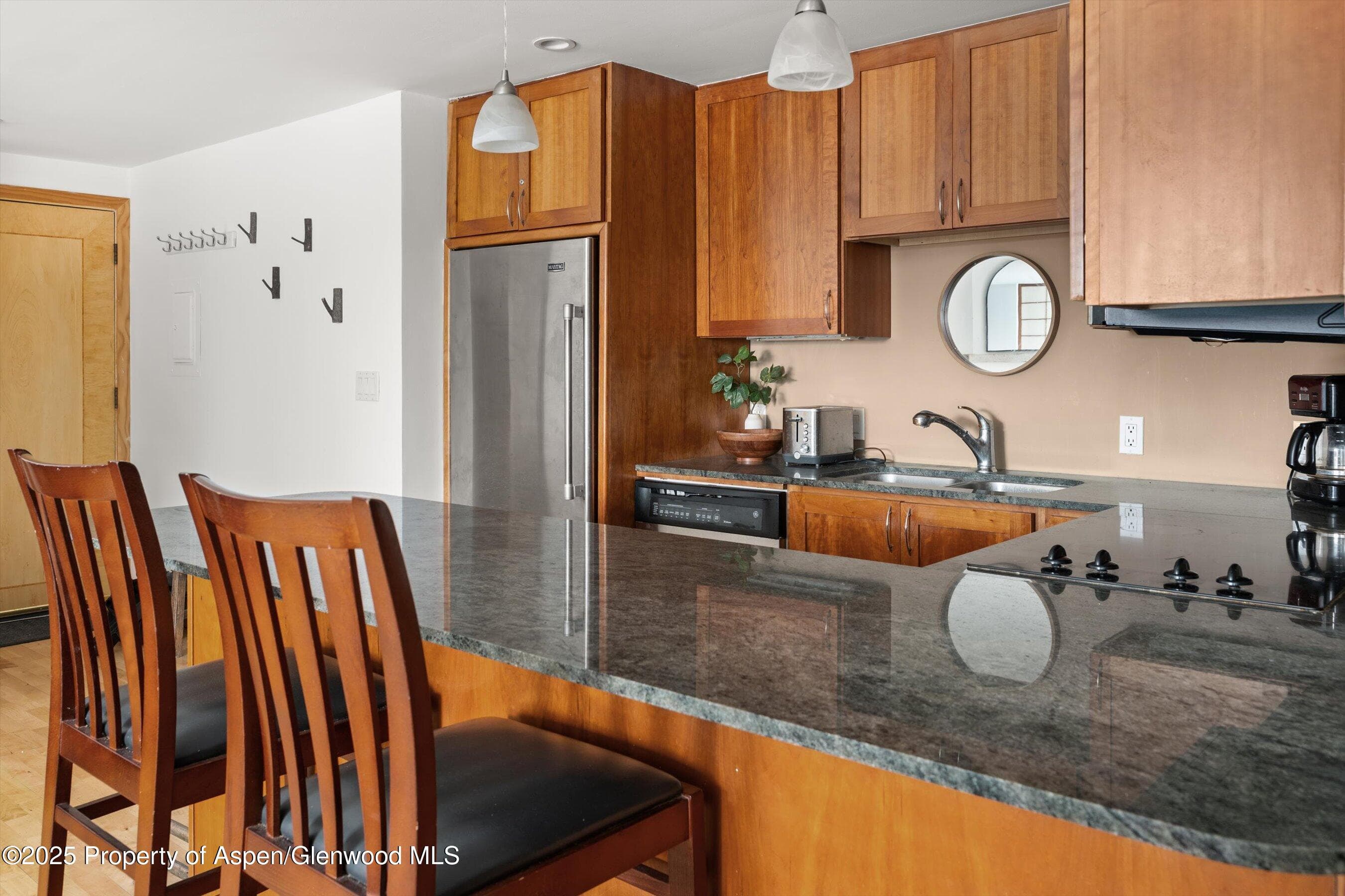 935 E Hopkins Avenue 7, Aspen, CO 81611 - Photo 10