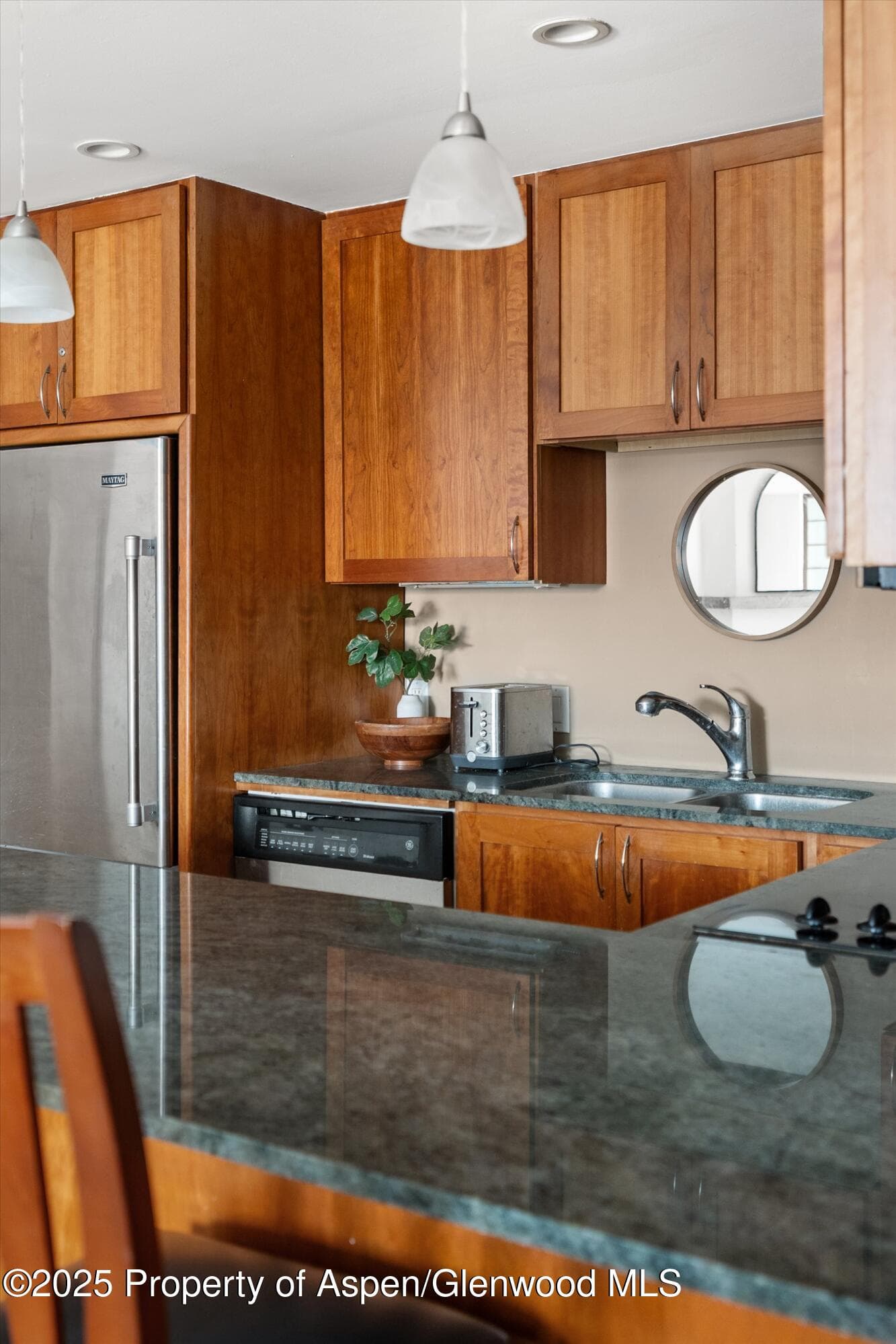 935 E Hopkins Avenue 7, Aspen, CO 81611 - Photo 11