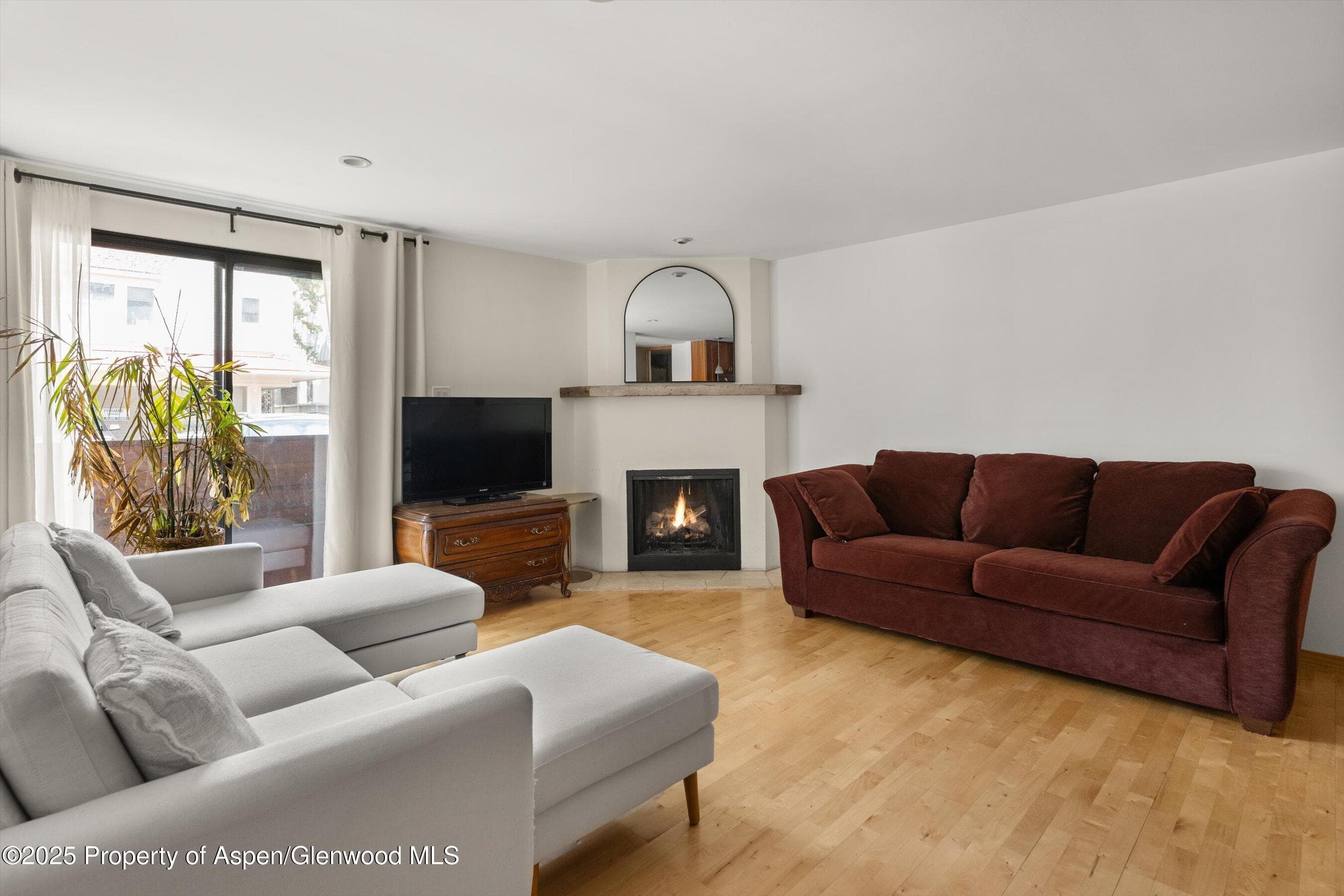 935 E Hopkins Avenue 7, Aspen, CO 81611 - Photo 17