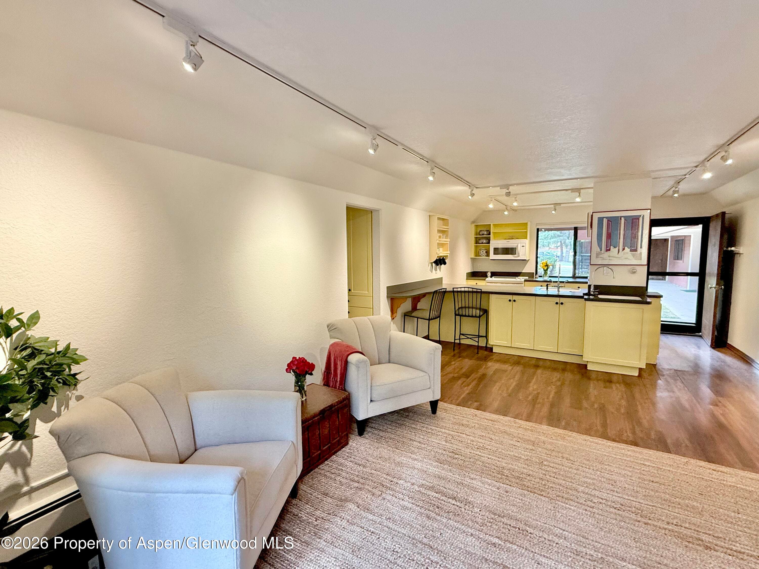 1214 Vine Street 1214, Aspen, CO 81611