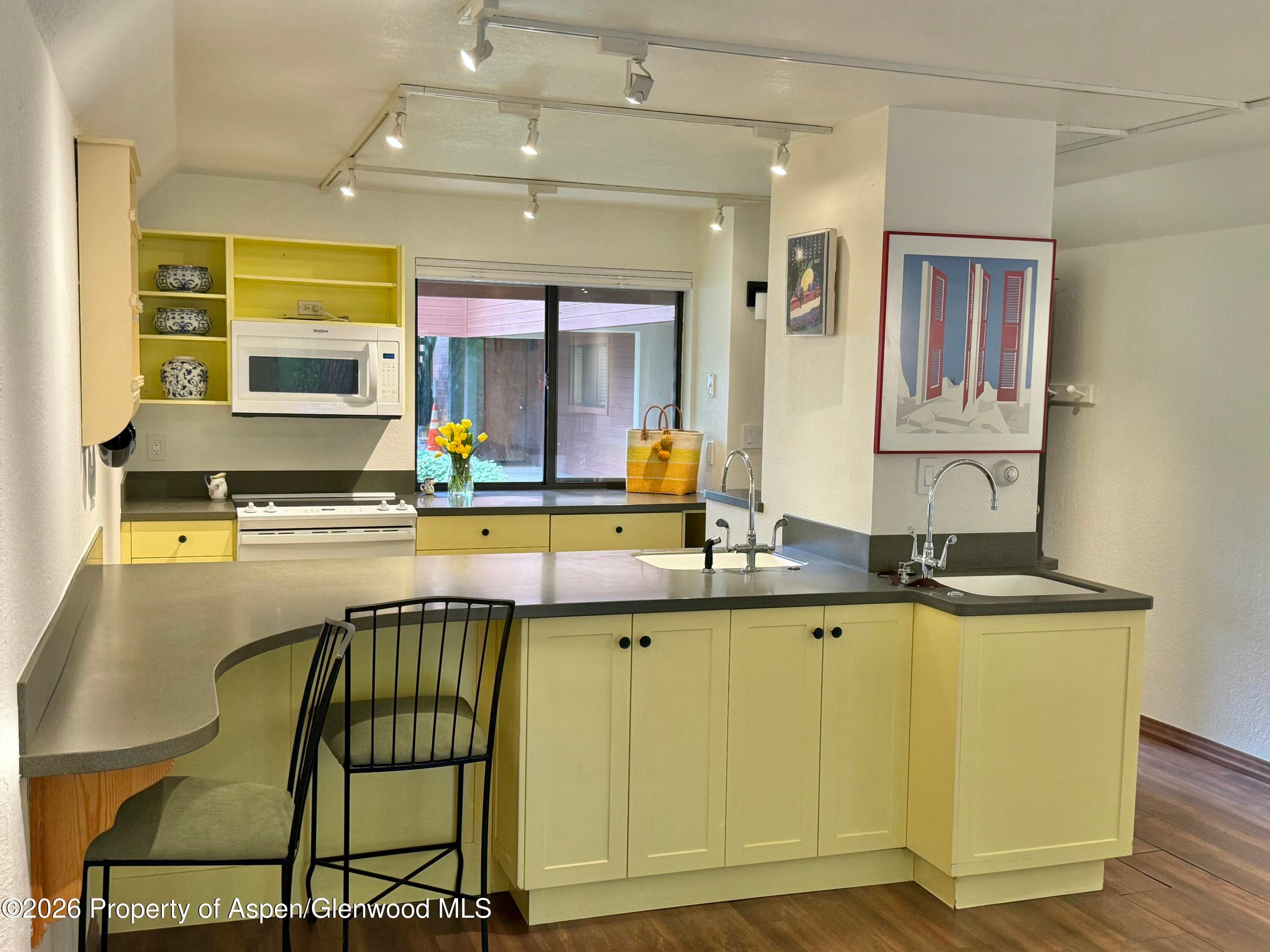 1214 Vine Street 1214, Aspen, CO 81611 - Photo 4
