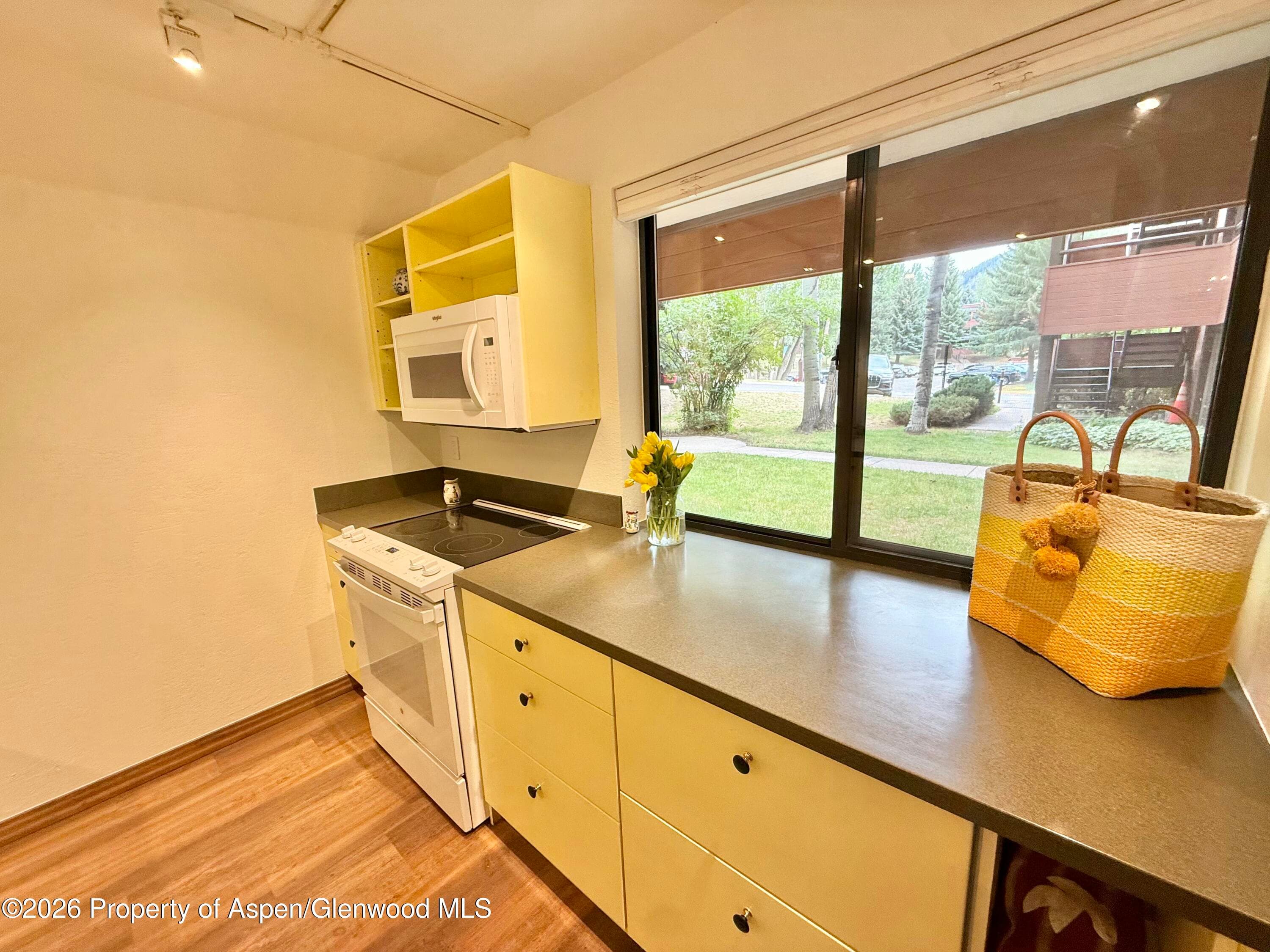 1214 Vine Street 1214, Aspen, CO 81611 - Photo 6