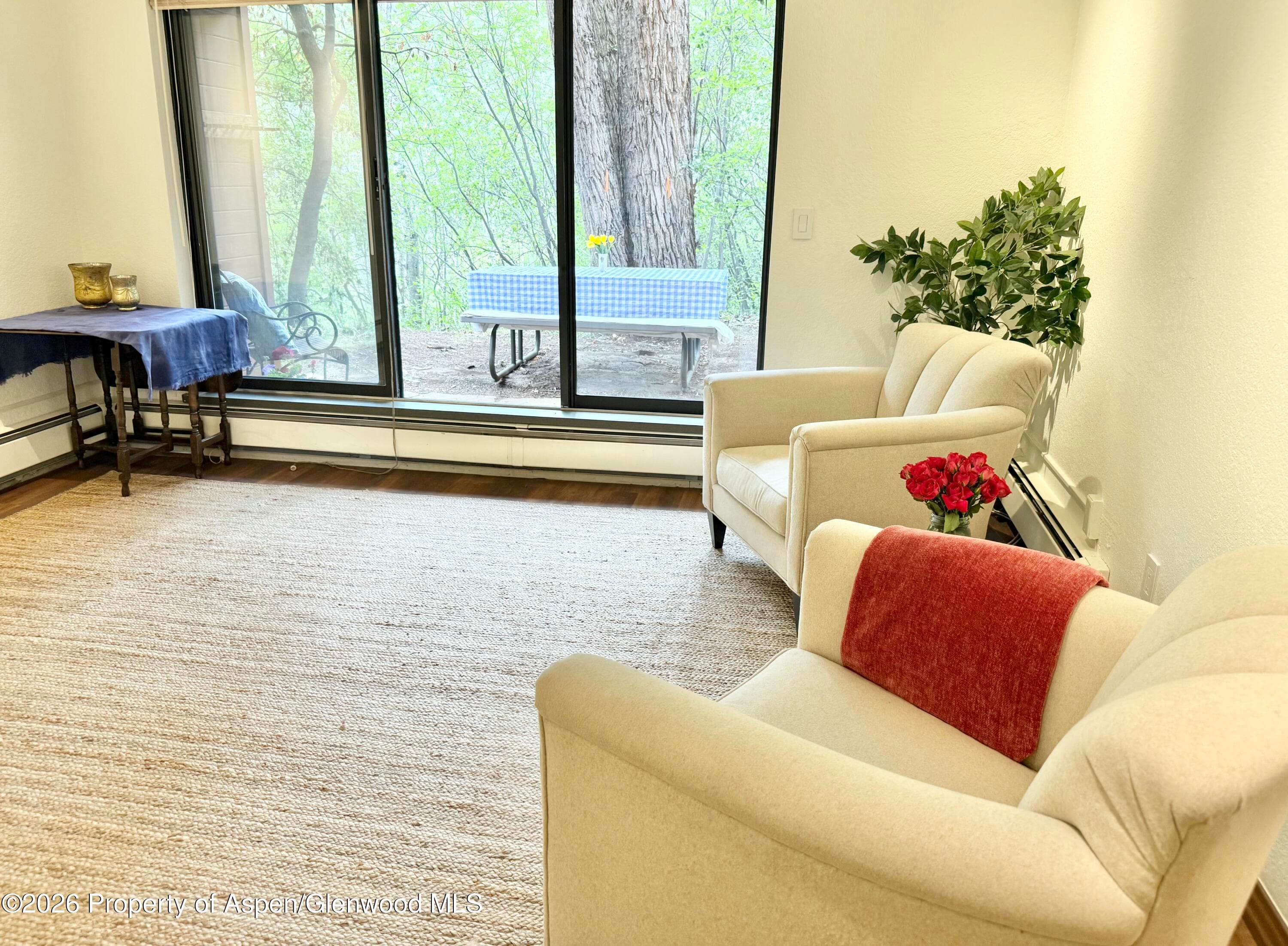 1214 Vine Street 1214, Aspen, CO 81611 - Photo 3