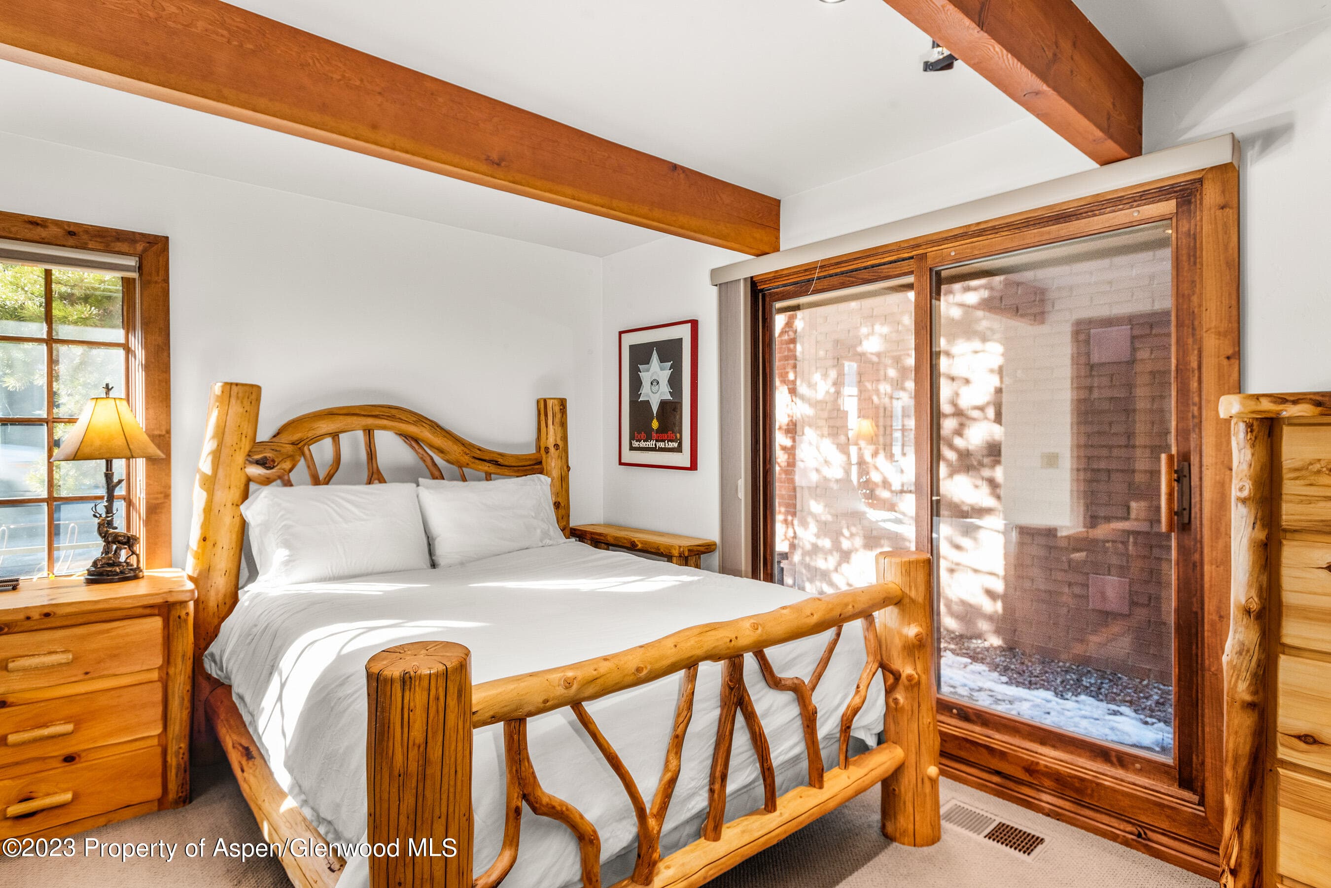 630 E Cooper Avenue 1, Aspen, CO 81611 - Photo 9
