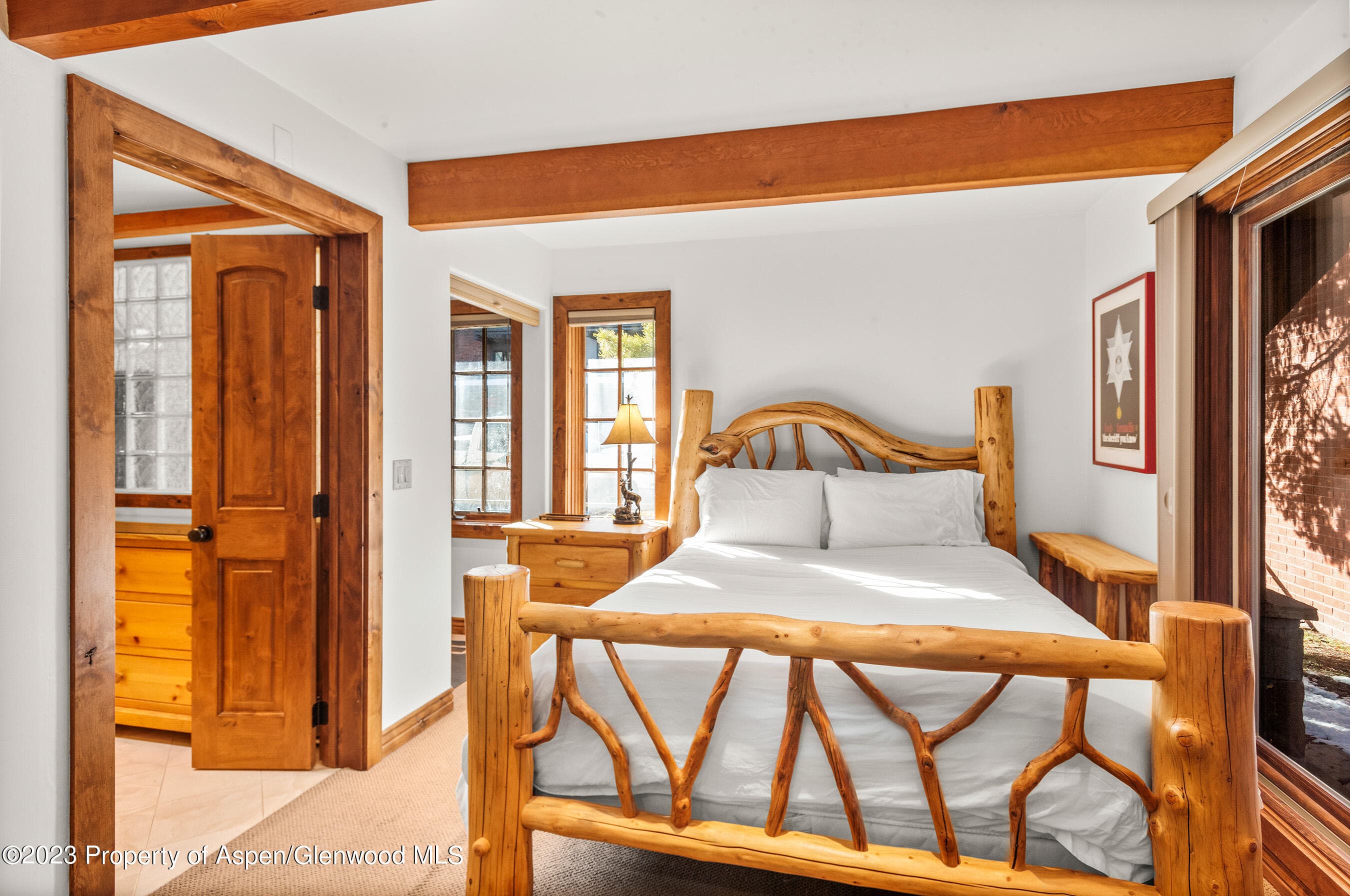 630 E Cooper Avenue 1, Aspen, CO 81611 - Photo 10